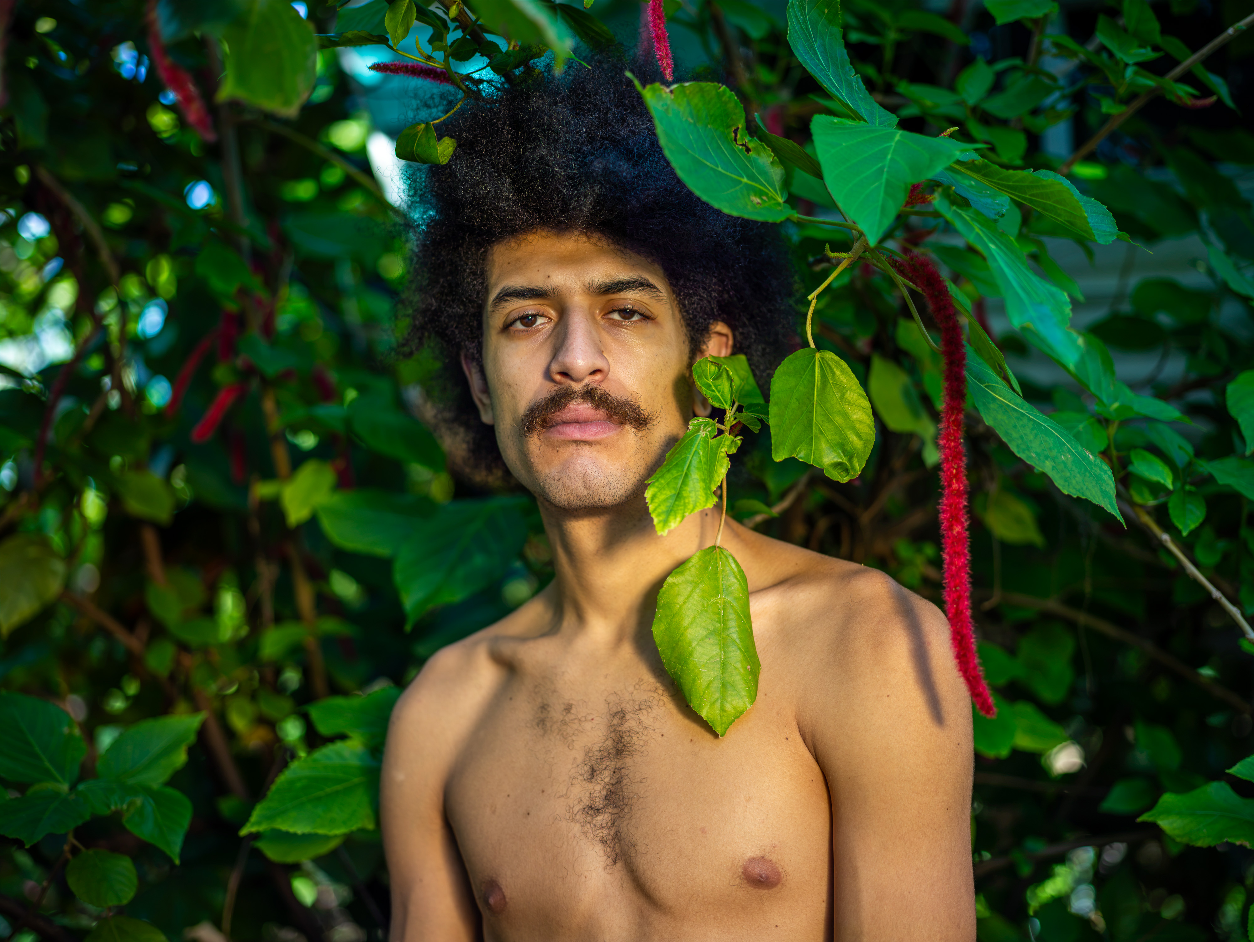 Jacinto, portrait 016, a landscape-format photograph by Robert Andy Coombs.