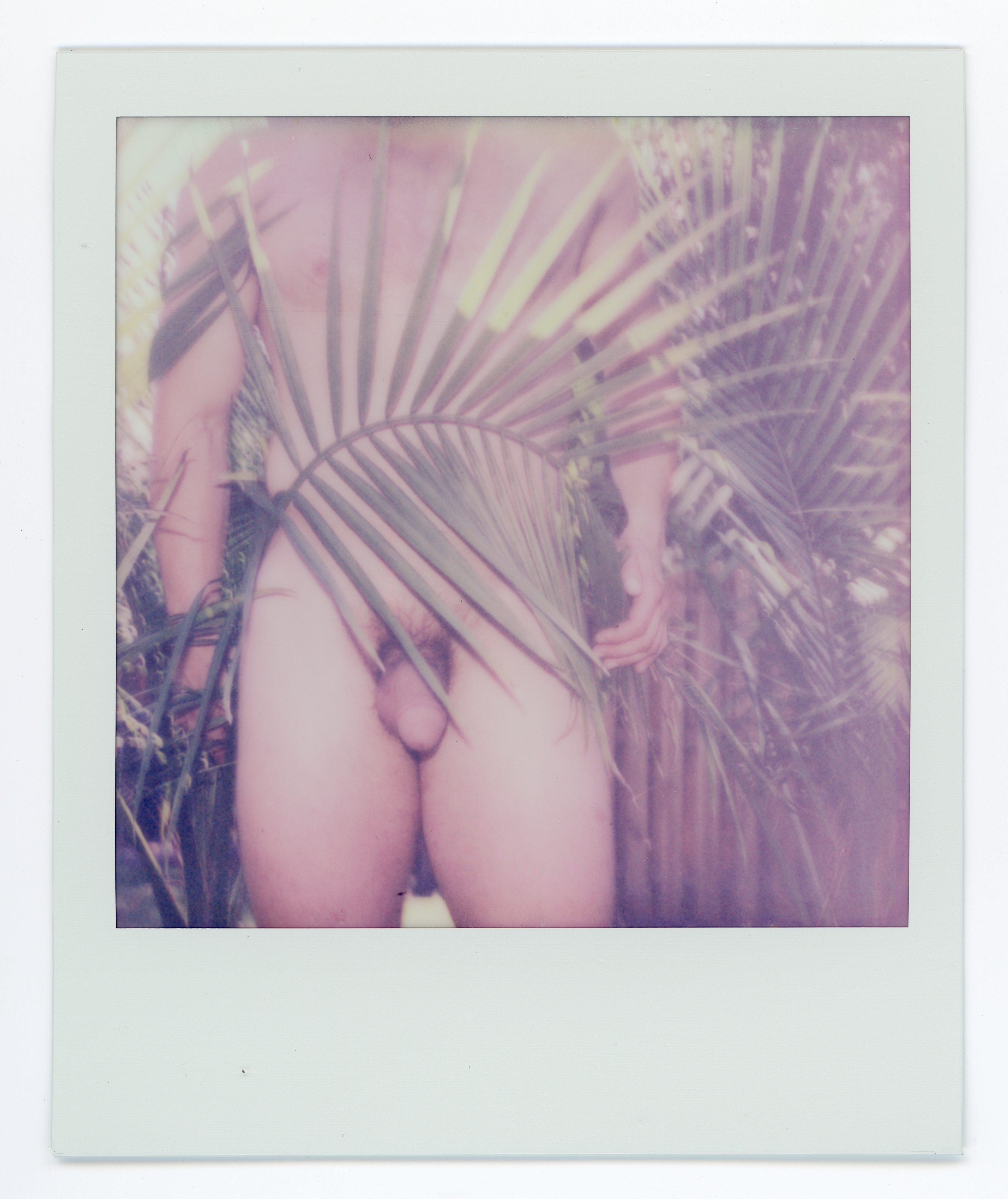 Alabama Polaroid 026, a one-of-one instant photograph made in Alabama by Robert Andy Coombs.