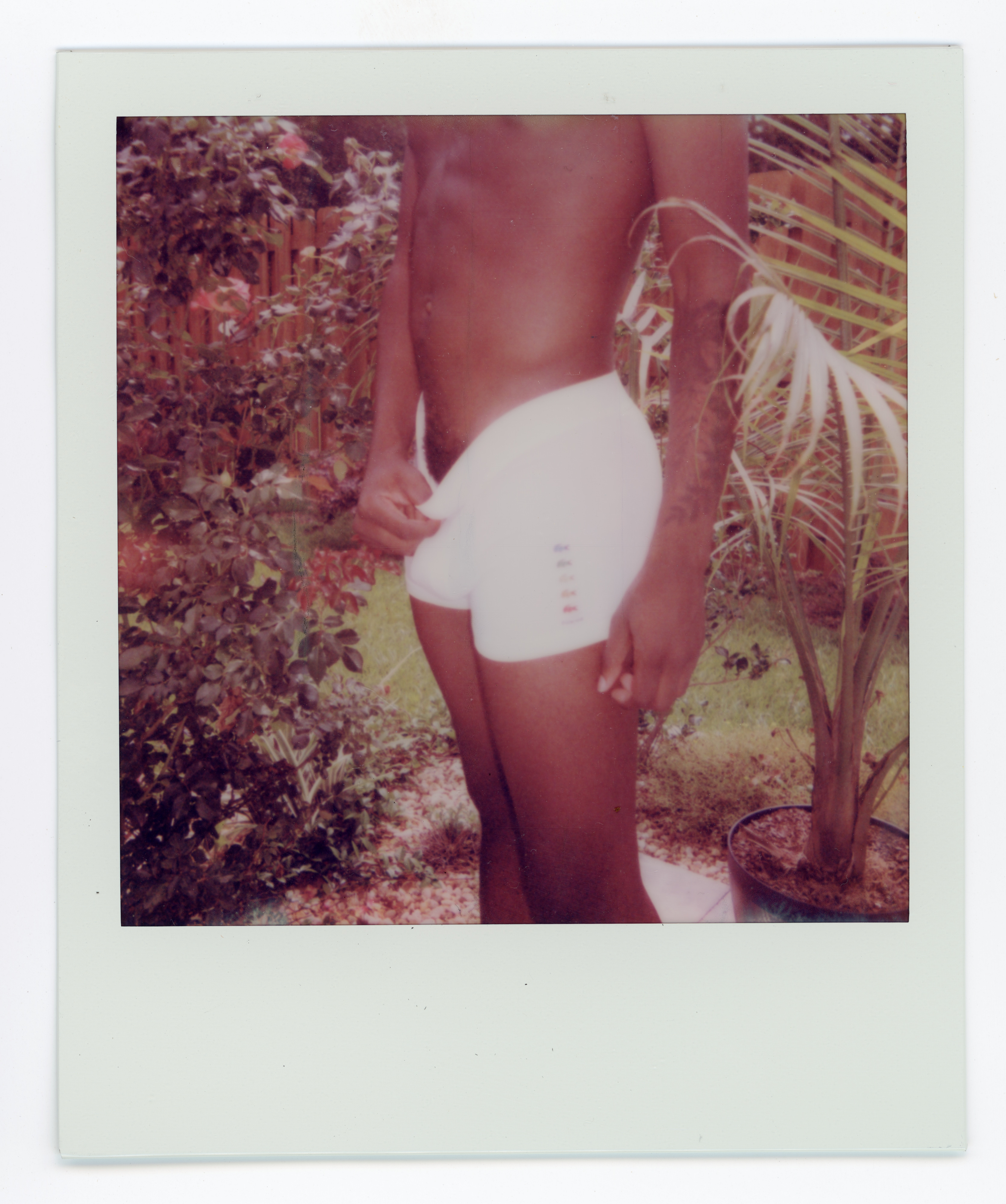 Alabama Polaroid 009, a one-of-one instant photograph made in Alabama by Robert Andy Coombs.