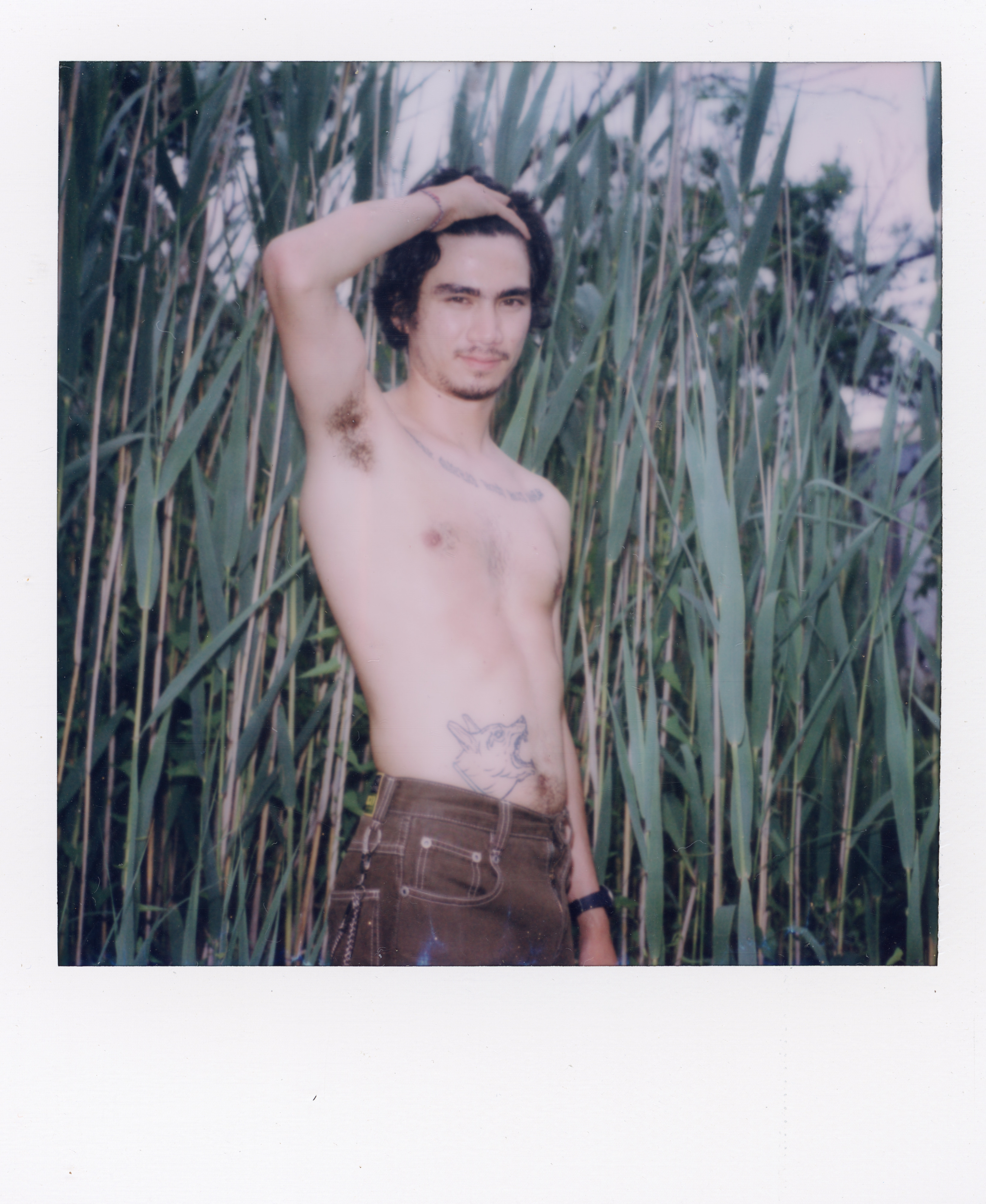 Fire Island Polaroid 103, a one-of-one instant photograph made in Fire Island Pines, New York, 2022 by Robert Andy Coombs.