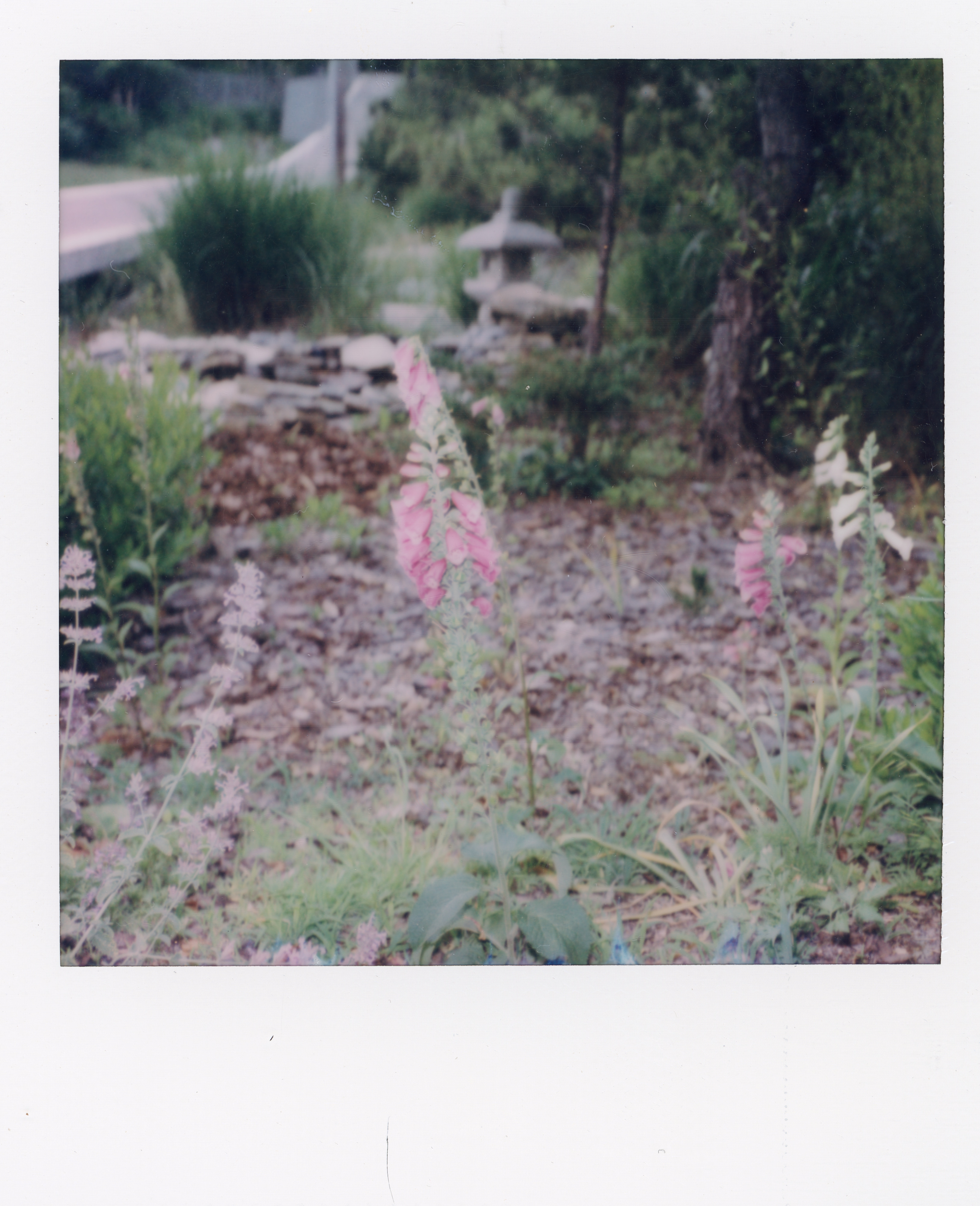 Fire Island Polaroid 107, a one-of-one instant photograph made in Fire Island Pines, New York, 2022 by Robert Andy Coombs.
