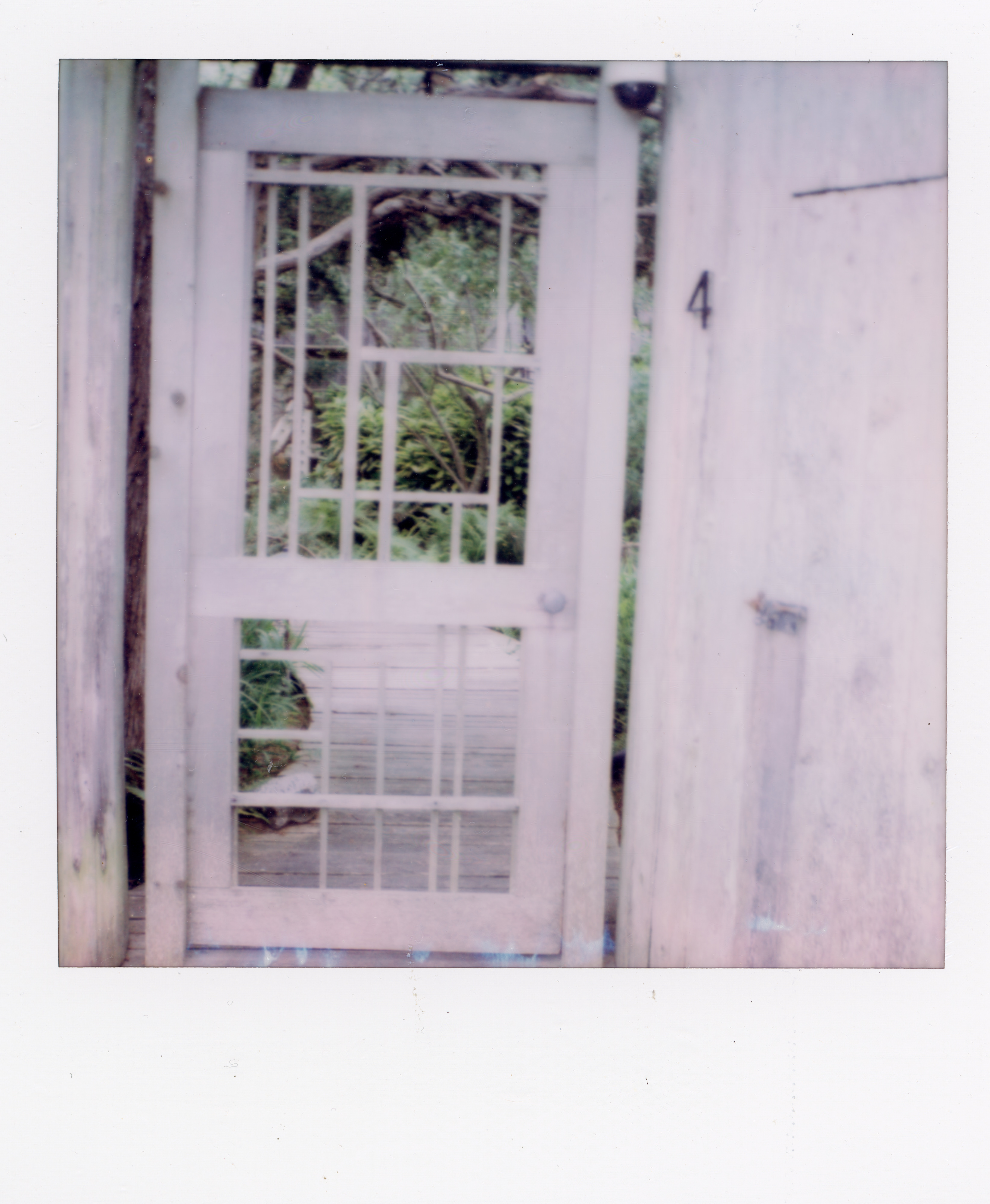 Fire Island Polaroid 108, a one-of-one instant photograph made in Fire Island Pines, New York, 2022 by Robert Andy Coombs.