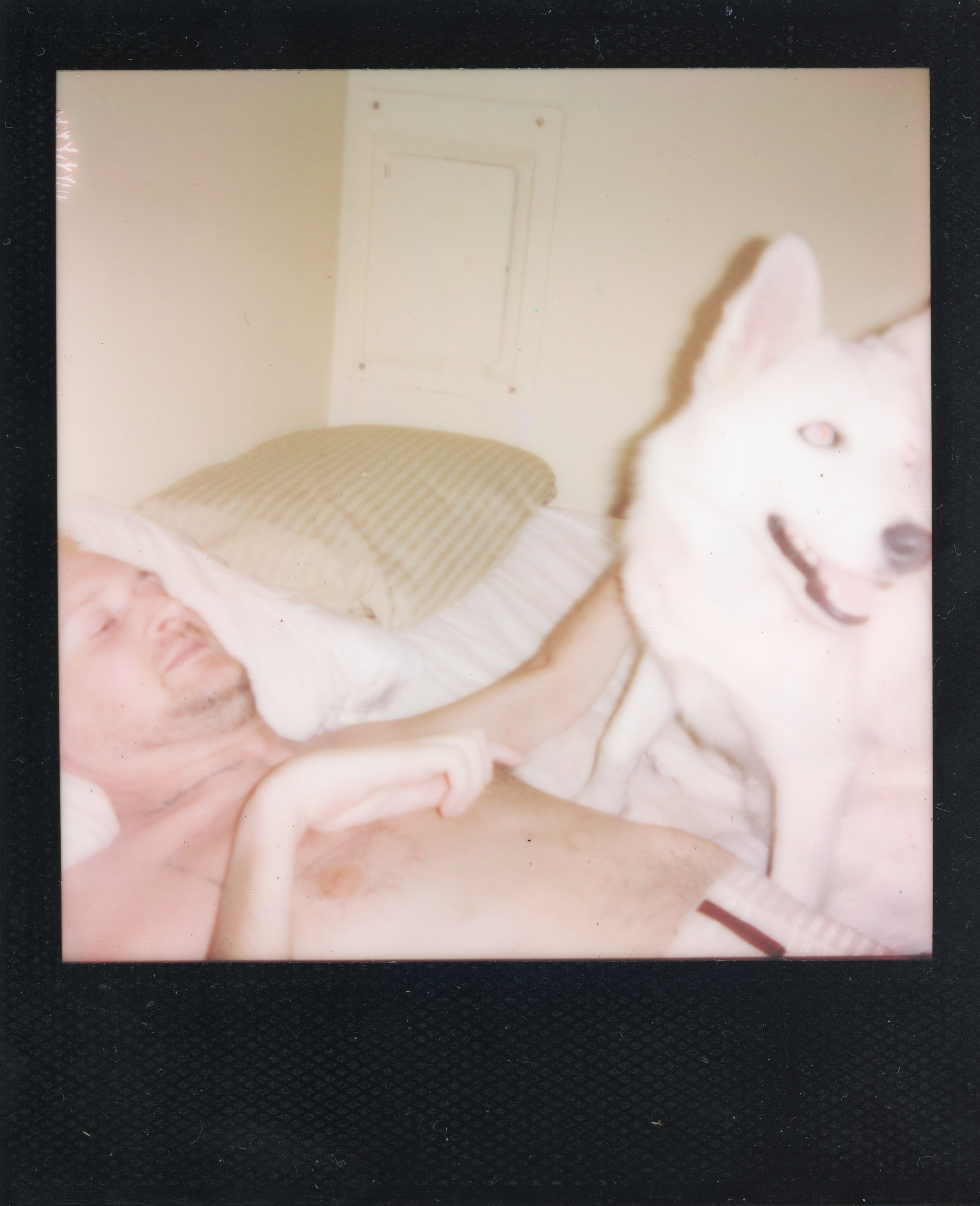 Fire Island Polaroid 114, a one-of-one instant photograph made in Fire Island Pines, New York, 2022 by Robert Andy Coombs.