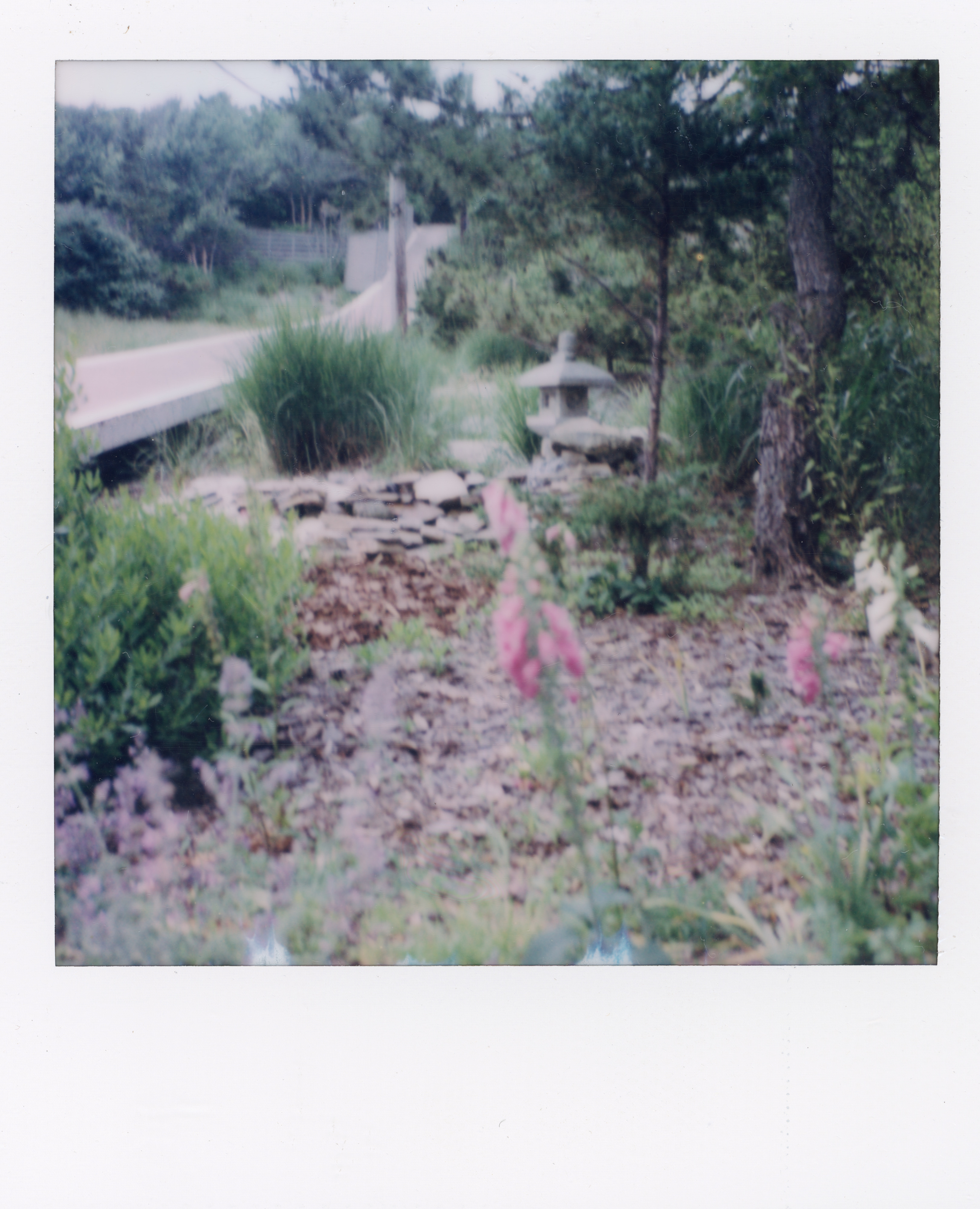 Fire Island Polaroid 122, a one-of-one instant photograph made in Fire Island Pines, New York, 2022 by Robert Andy Coombs.