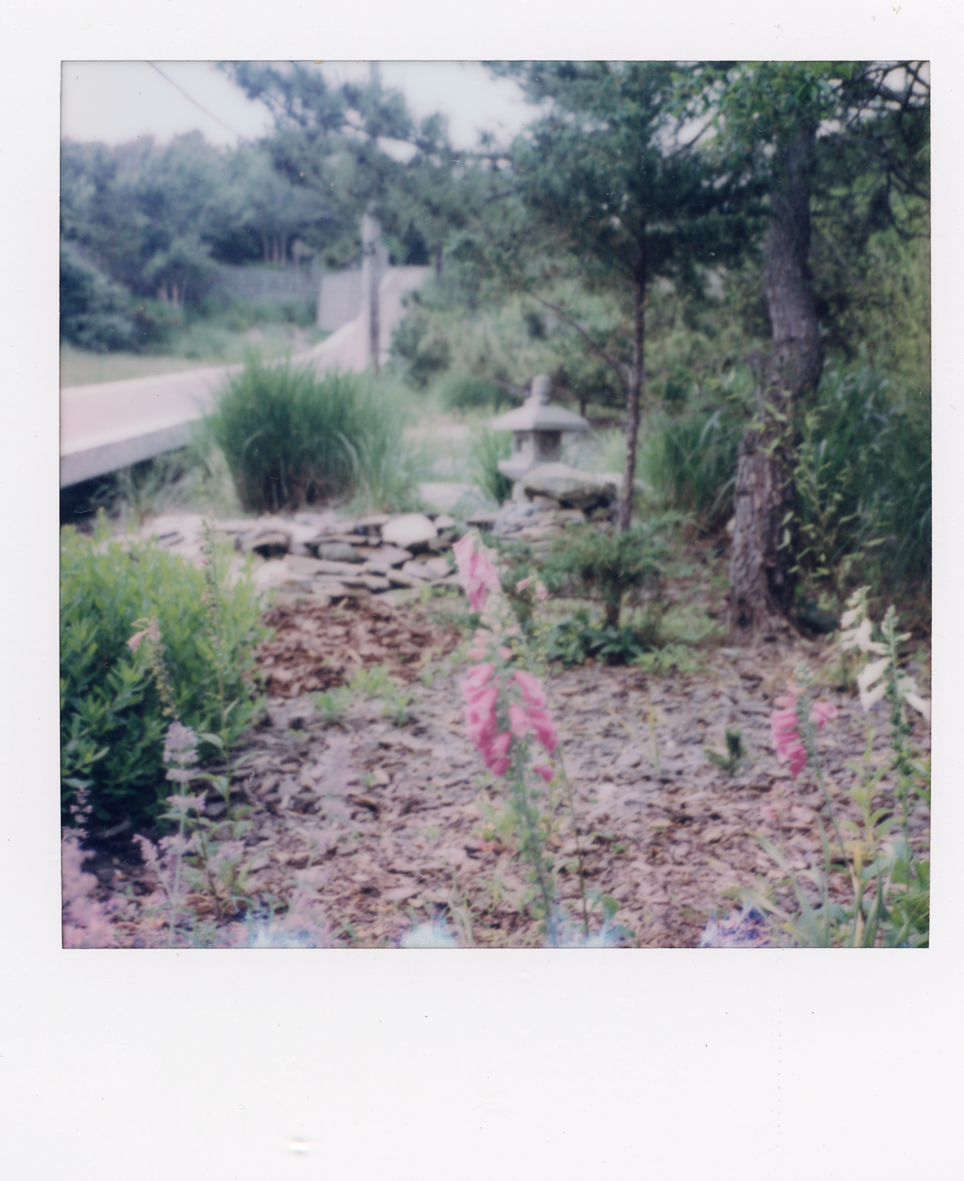 Fire Island Polaroid 128, a one-of-one instant photograph made in Fire Island Pines, New York, 2022 by Robert Andy Coombs.