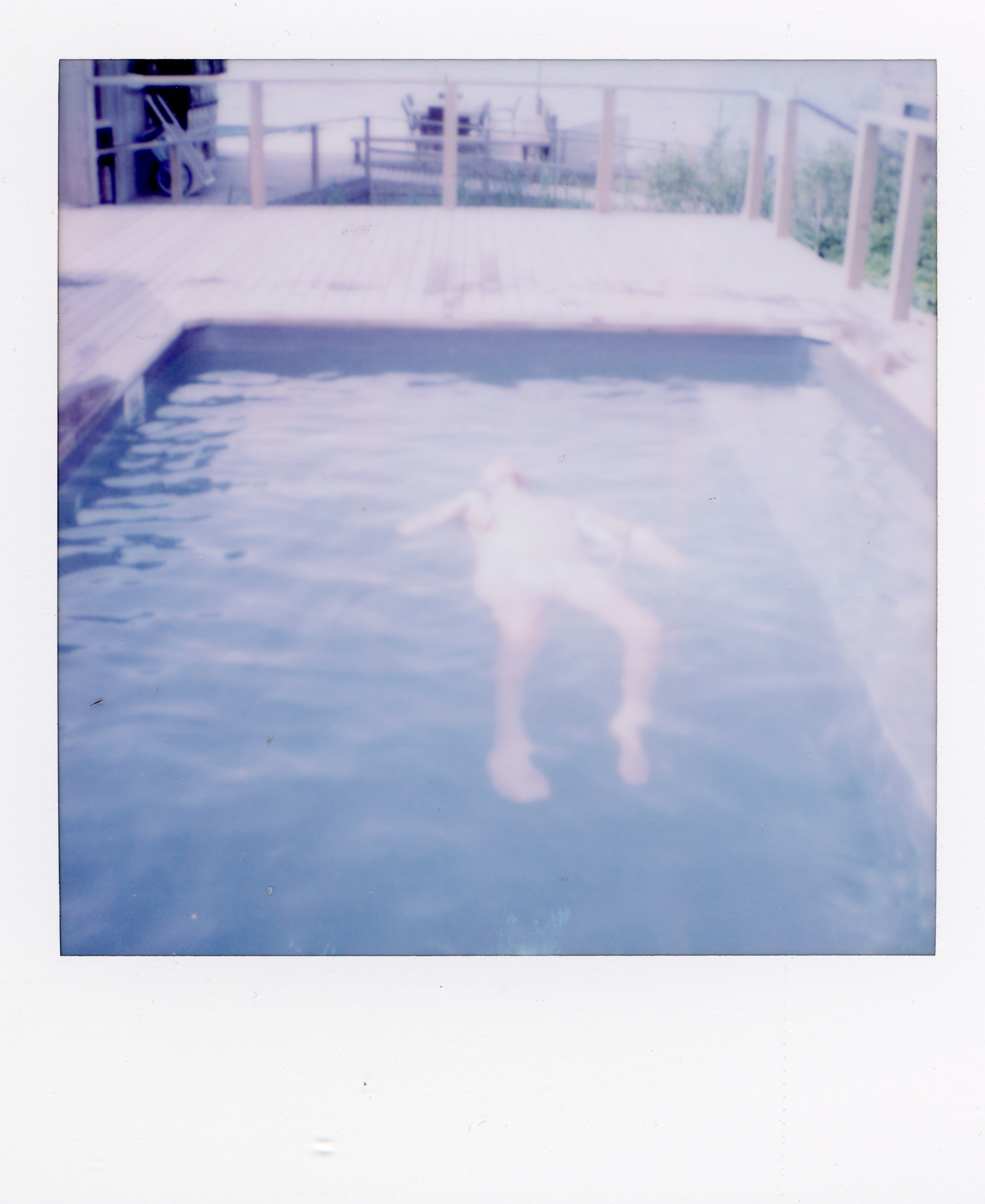 Fire Island Polaroid 057, a one-of-one instant photograph made in Fire Island Pines, New York, 2022 by Robert Andy Coombs.