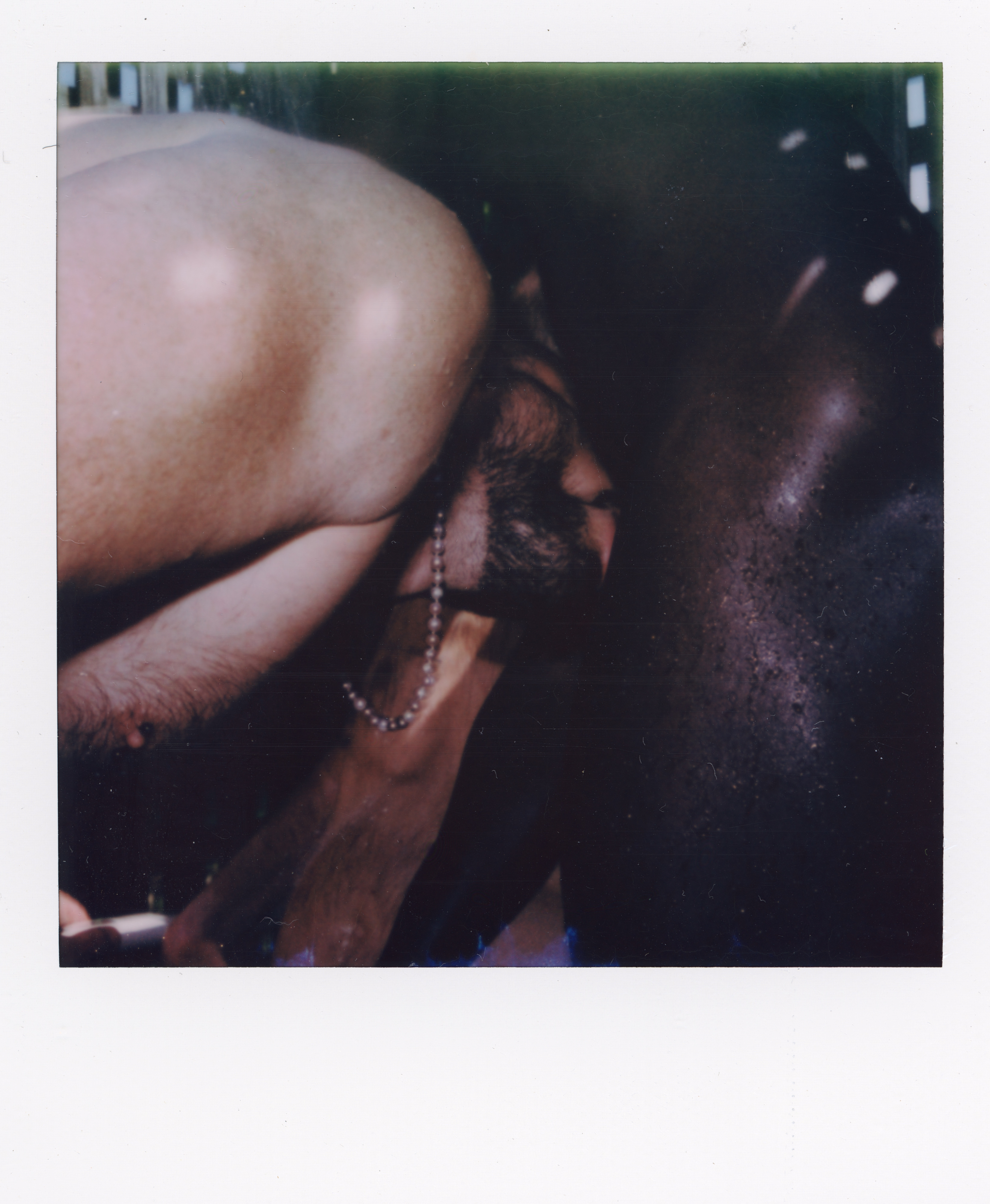 Fire Island Polaroid 077, a one-of-one instant photograph made in Fire Island Pines, New York, 2022 by Robert Andy Coombs.