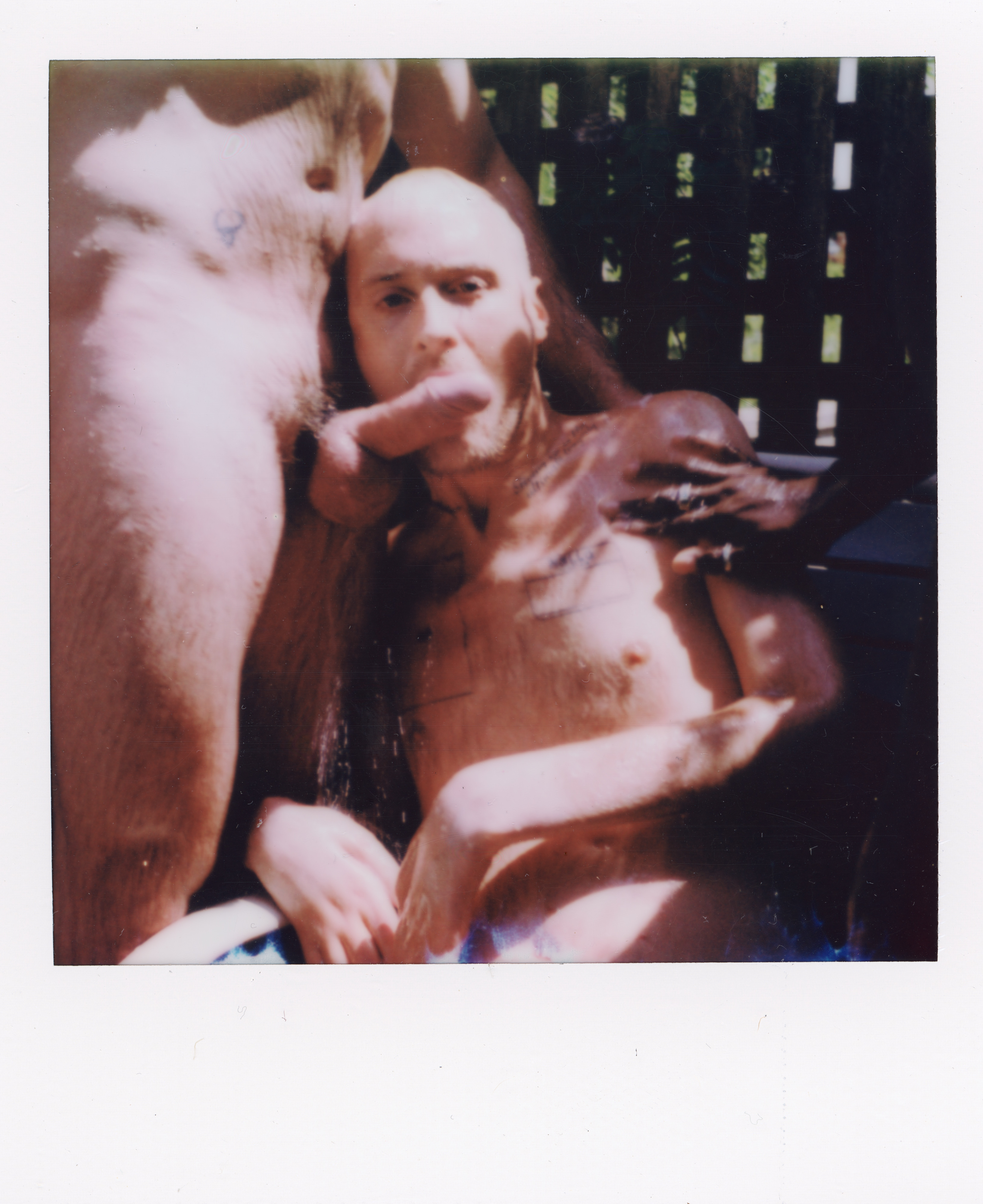 Fire Island Polaroid 083, a one-of-one instant photograph made in Fire Island Pines, New York, 2022 by Robert Andy Coombs.
