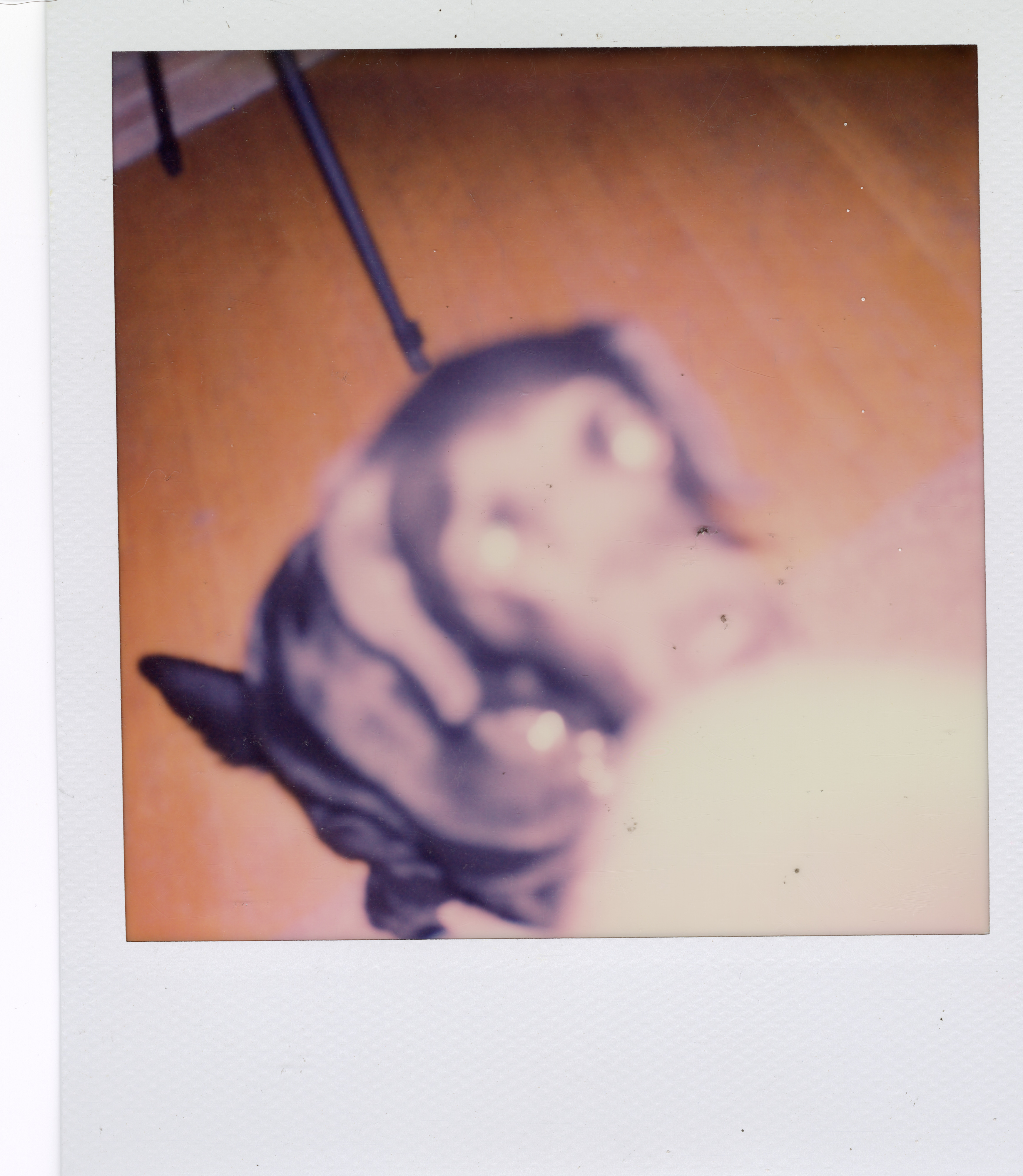 Grand Rapids Polaroid 104, a one-of-one instant photograph made in Grand Rapids, Michigan, 2008–2018 by Robert Andy Coombs.