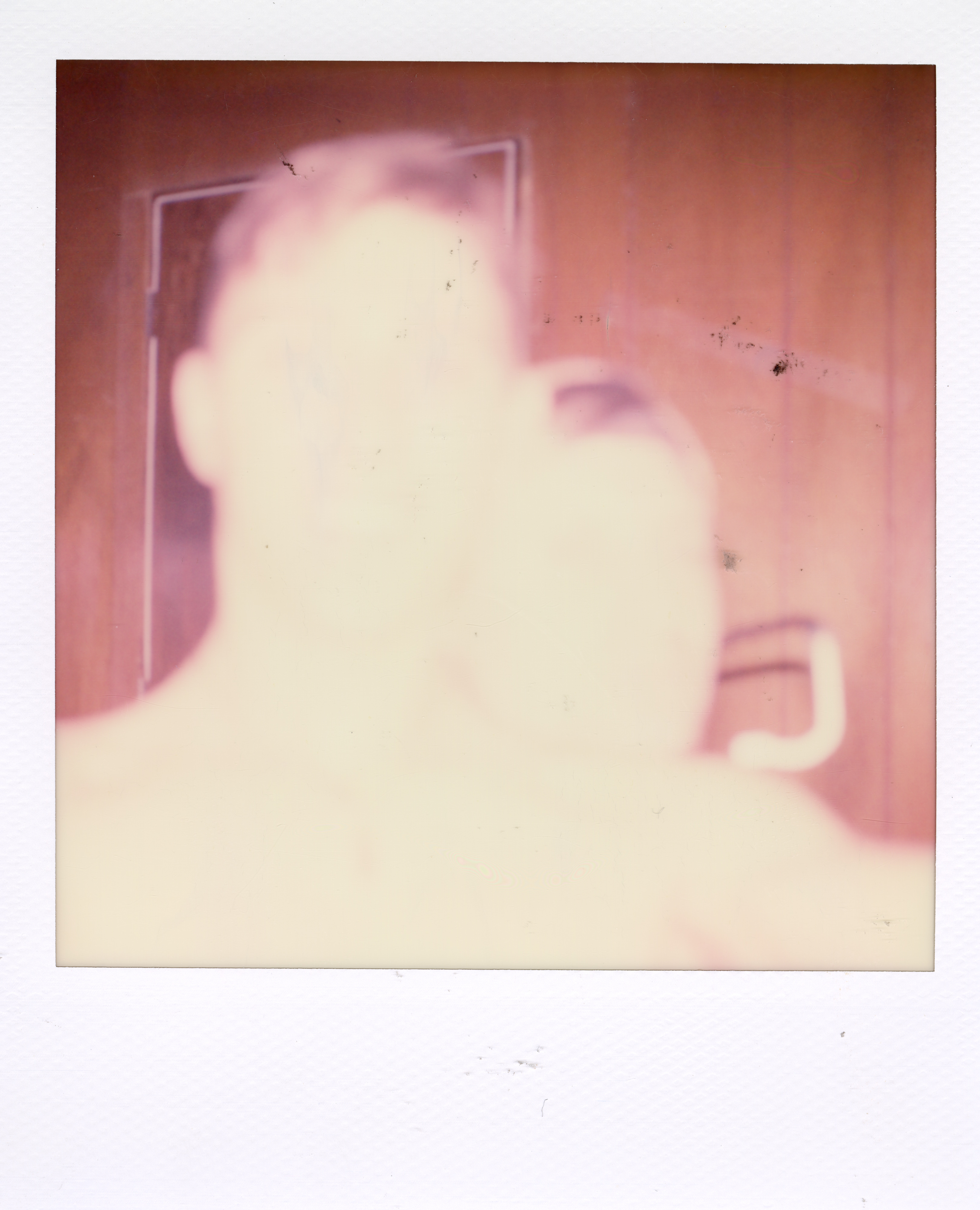 Grand Rapids Polaroid 105, a one-of-one instant photograph made in Grand Rapids, Michigan, 2008–2018 by Robert Andy Coombs.