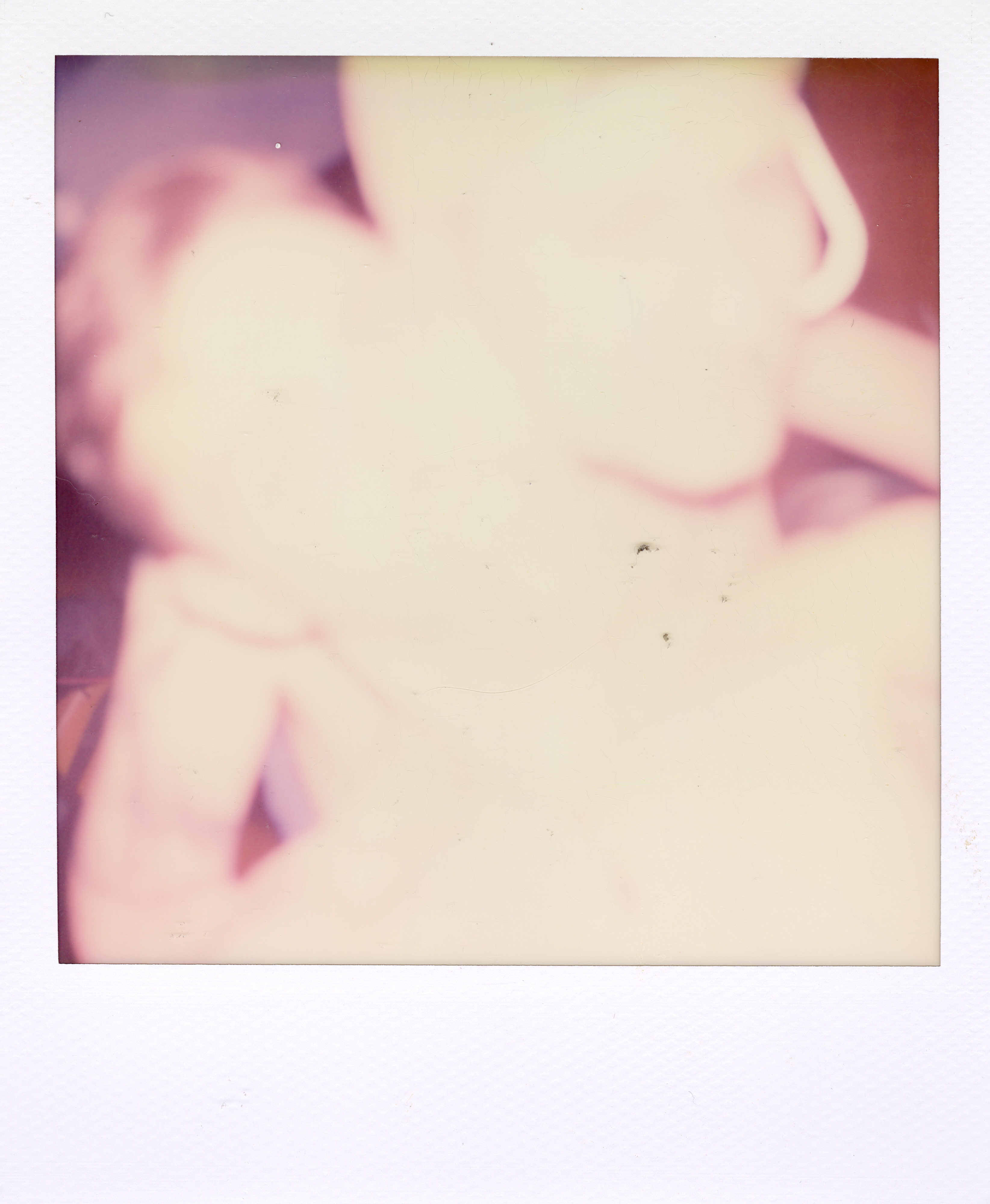 Grand Rapids Polaroid 107, a one-of-one instant photograph made in Grand Rapids, Michigan, 2008–2018 by Robert Andy Coombs.