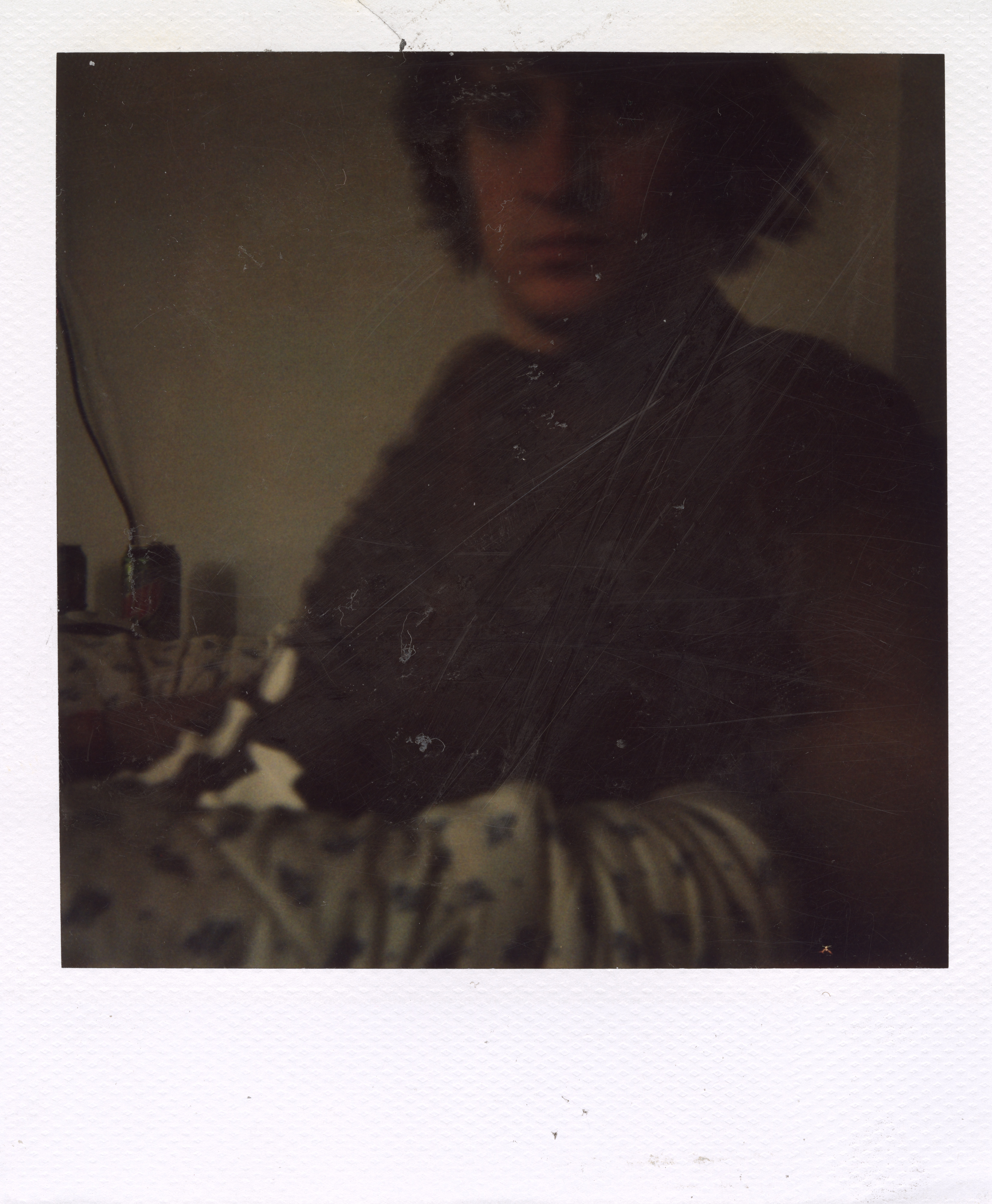 Grand Rapids Polaroid 015, a one-of-one instant photograph made in Grand Rapids, Michigan, 2008–2018 by Robert Andy Coombs.