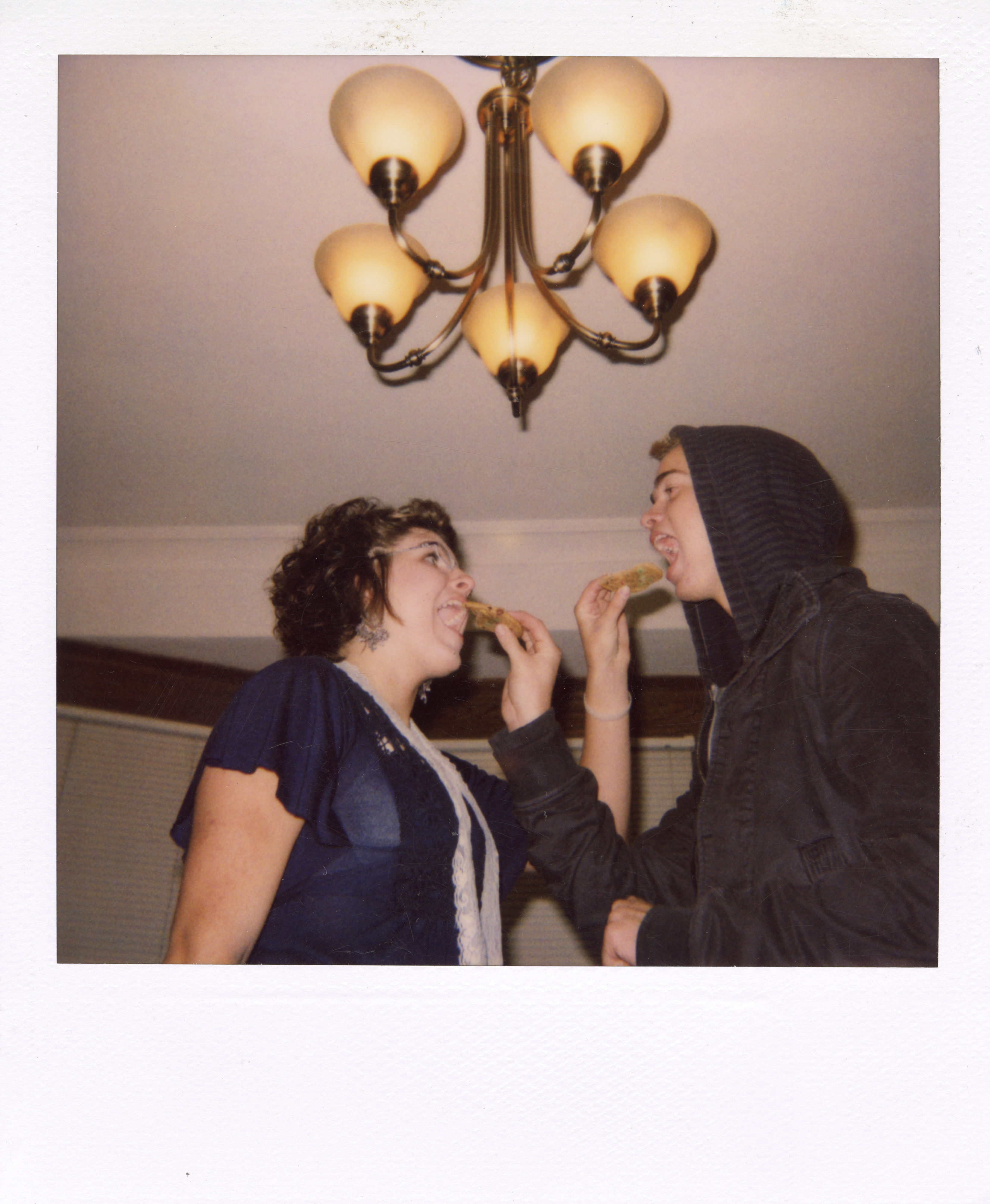 Grand Rapids Polaroid 028, a one-of-one instant photograph made in Grand Rapids, Michigan, 2008–2018 by Robert Andy Coombs.