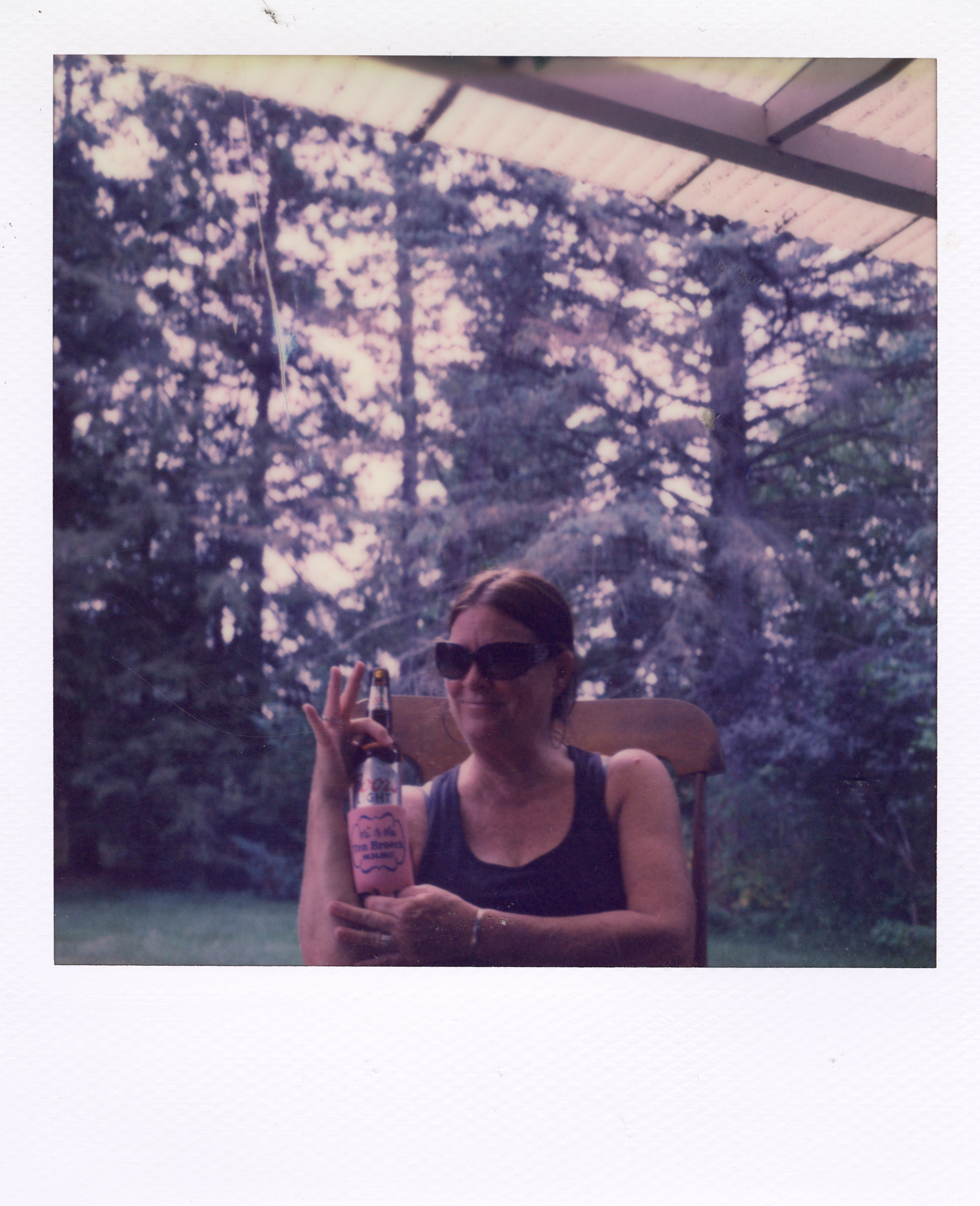 Grand Rapids Polaroid 090, a one-of-one instant photograph made in Grand Rapids, Michigan, 2008–2018 by Robert Andy Coombs.