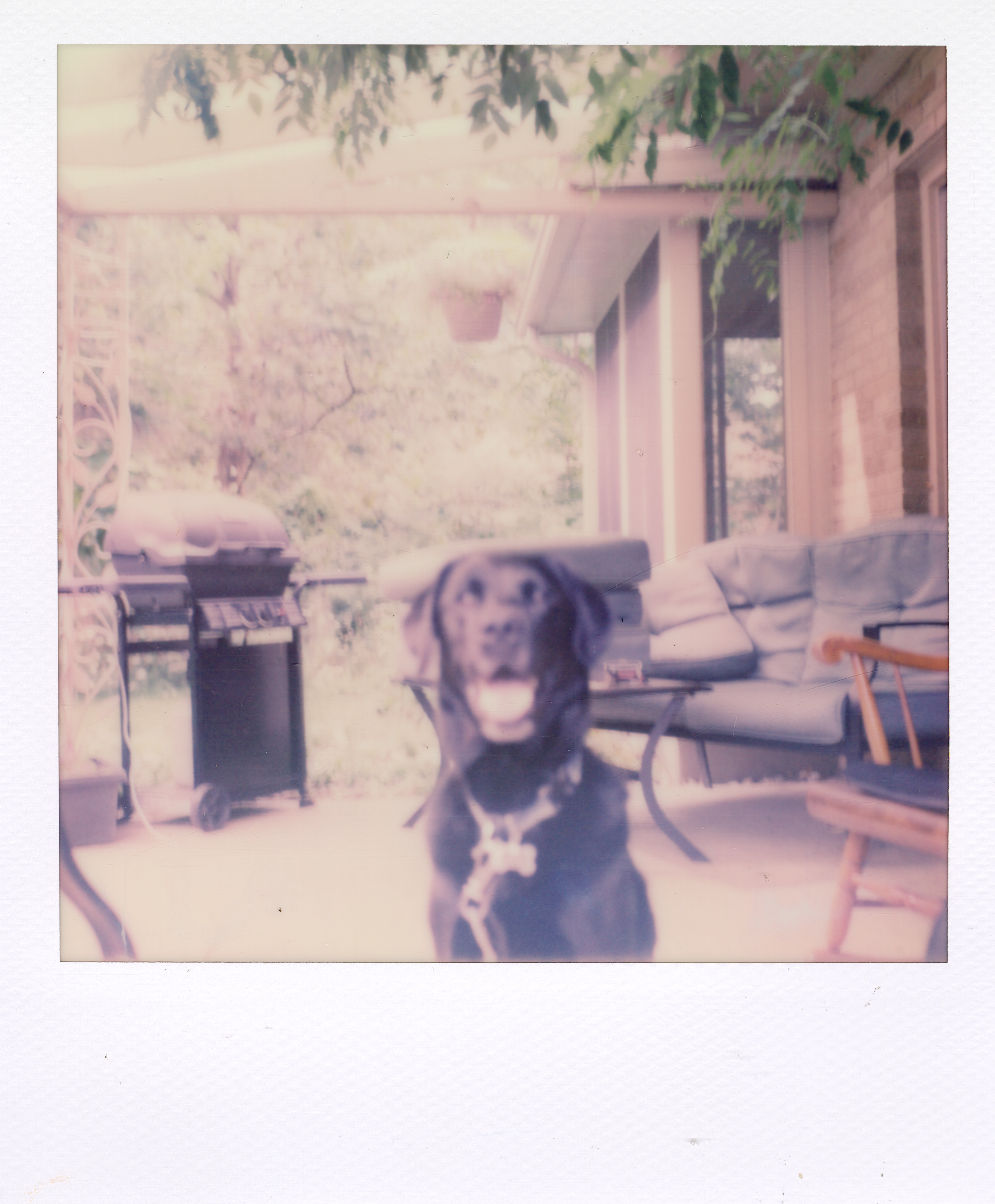 Grand Rapids Polaroid 095, a one-of-one instant photograph made in Grand Rapids, Michigan, 2008–2018 by Robert Andy Coombs.