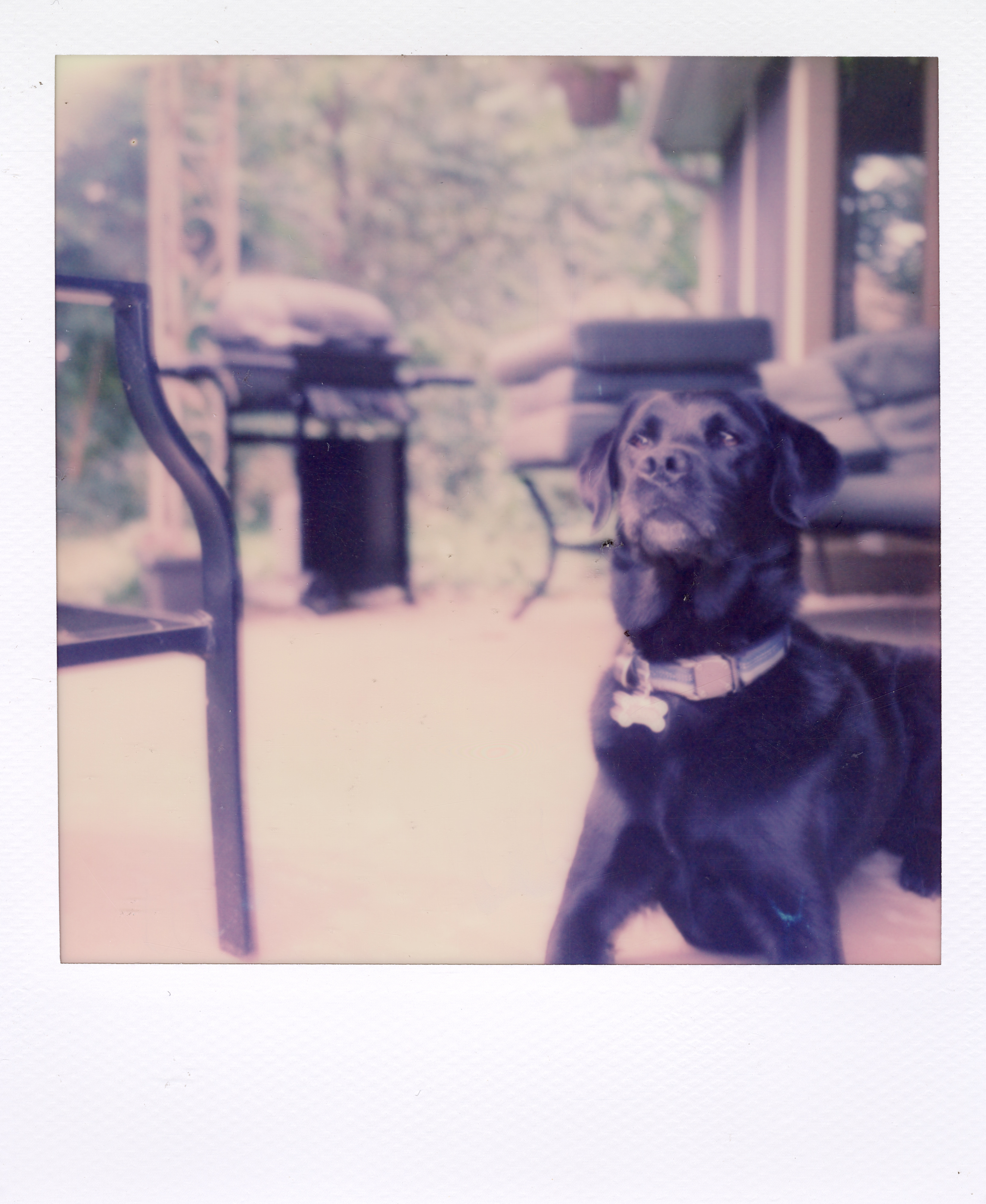 Grand Rapids Polaroid 096, a one-of-one instant photograph made in Grand Rapids, Michigan, 2008–2018 by Robert Andy Coombs.