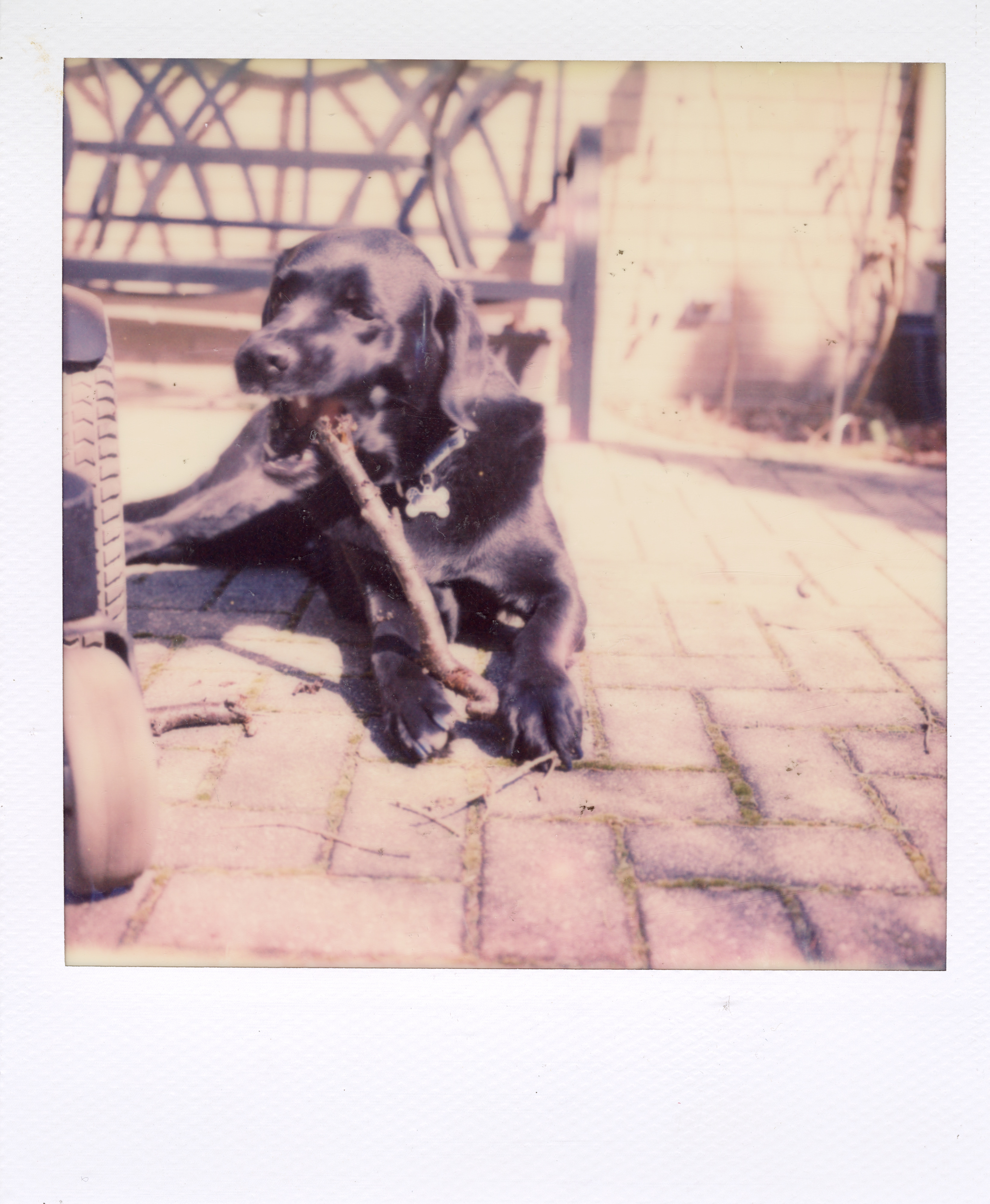 Grand Rapids Polaroid 097, a one-of-one instant photograph made in Grand Rapids, Michigan, 2008–2018 by Robert Andy Coombs.