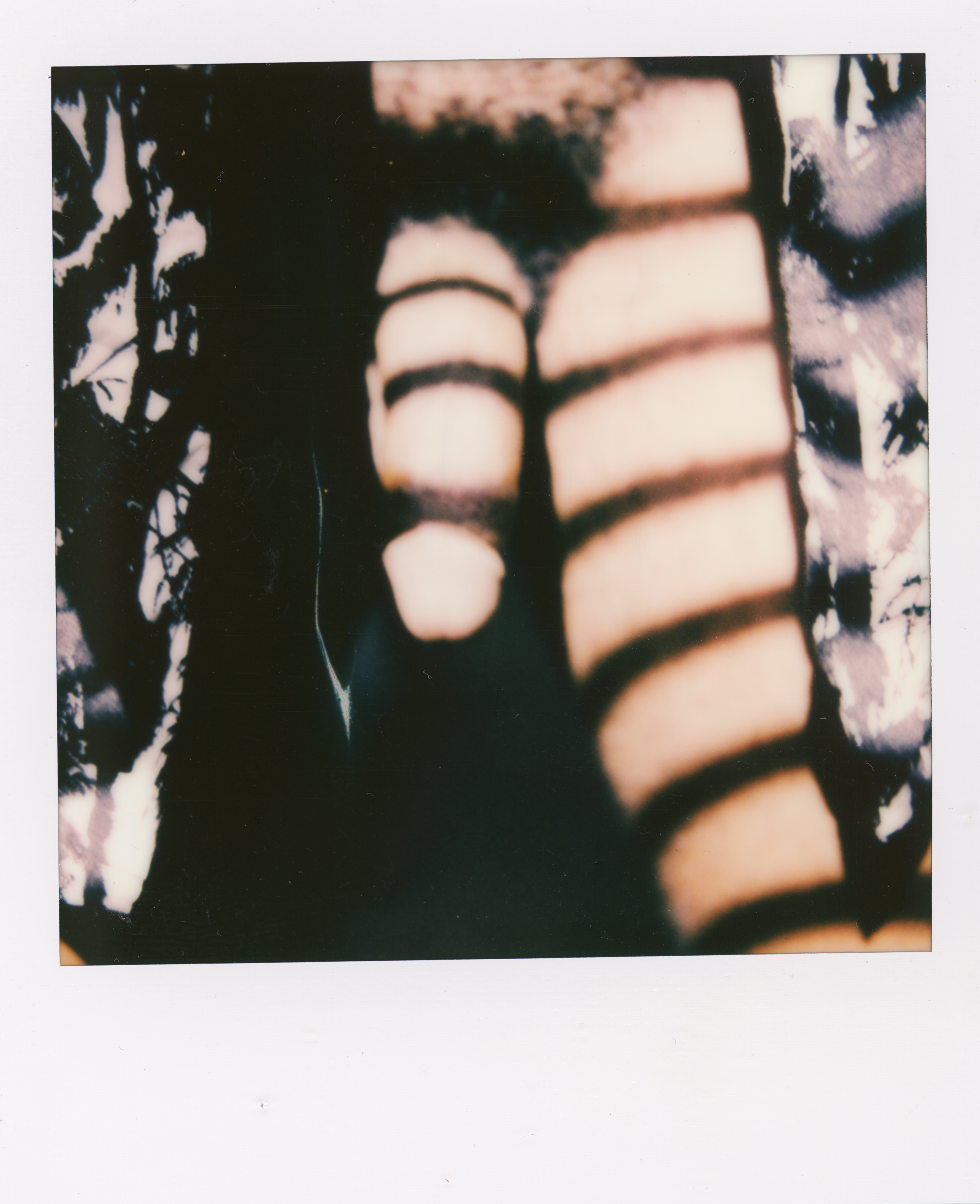 Miami 2021 Polaroid 108, a one-of-one instant photograph made in Miami, Florida, 2021 by Robert Andy Coombs.