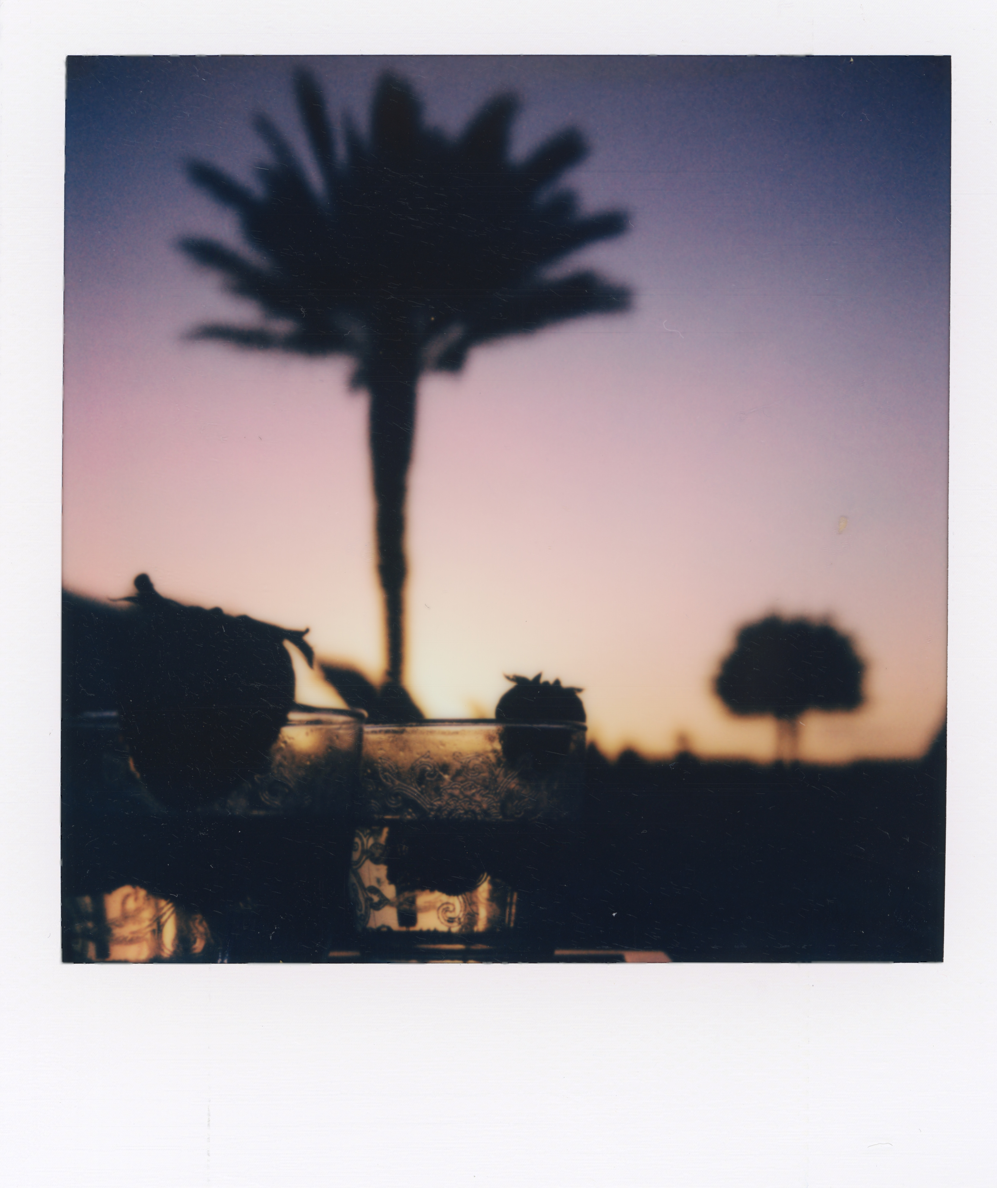 Miami 2021 Polaroid 014, a one-of-one instant photograph made in Miami, Florida, 2021 by Robert Andy Coombs.