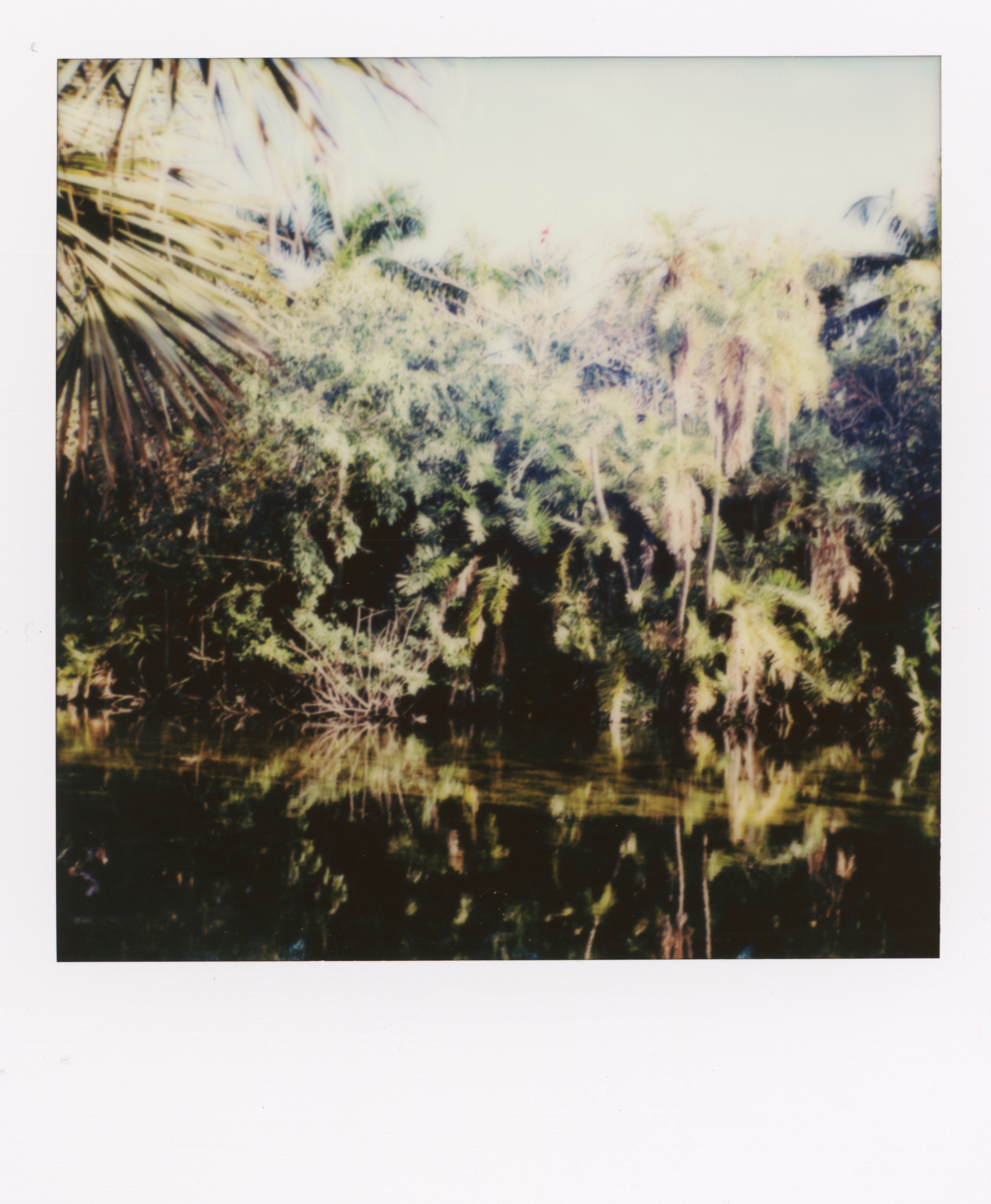 Miami 2022 Polaroid 025, a one-of-one instant photograph made in Miami, Florida, 2022 by Robert Andy Coombs.