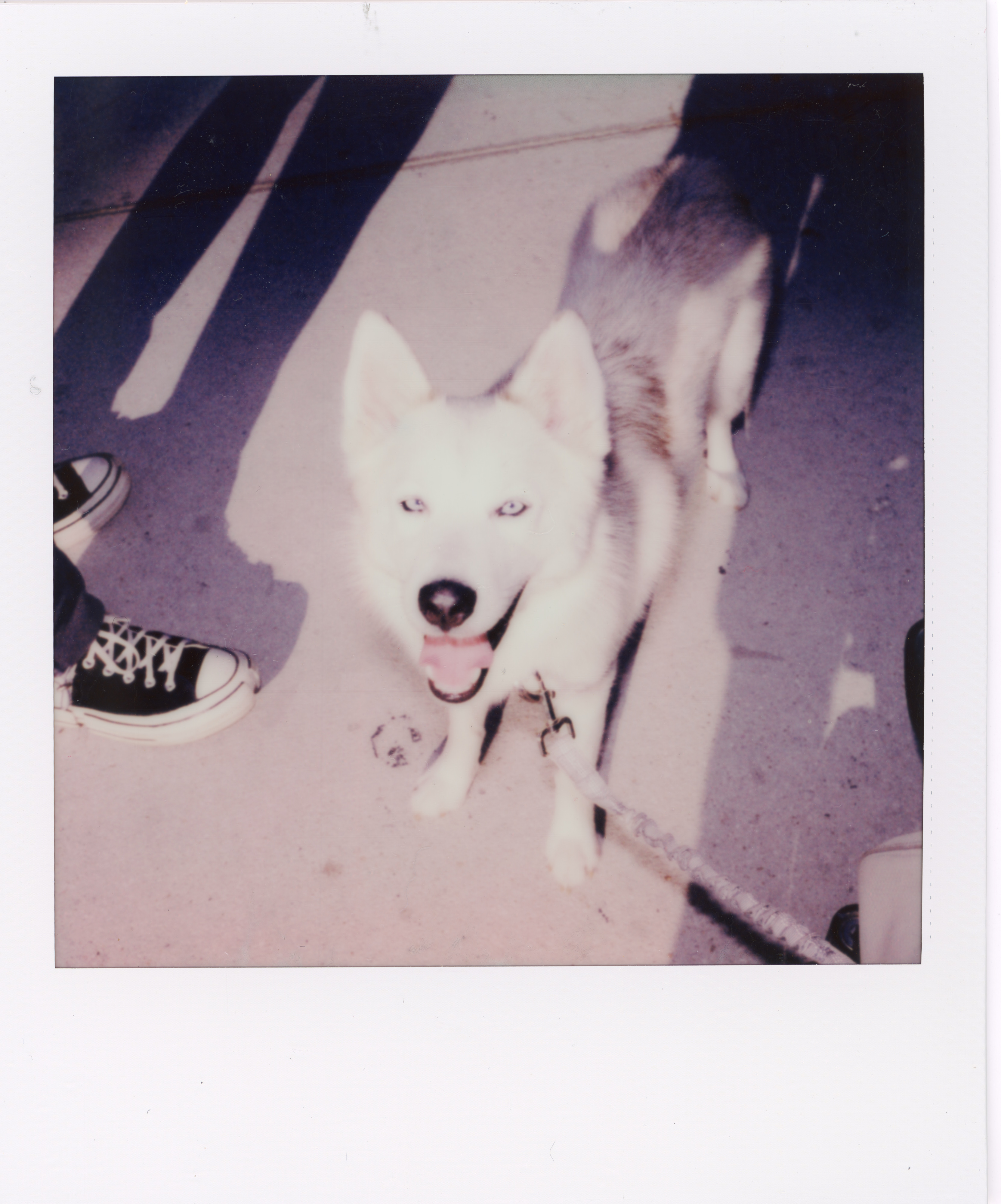 Miami 2023 Polaroid 032, a one-of-one instant photograph made in Miami, Florida, 2023 by Robert Andy Coombs.