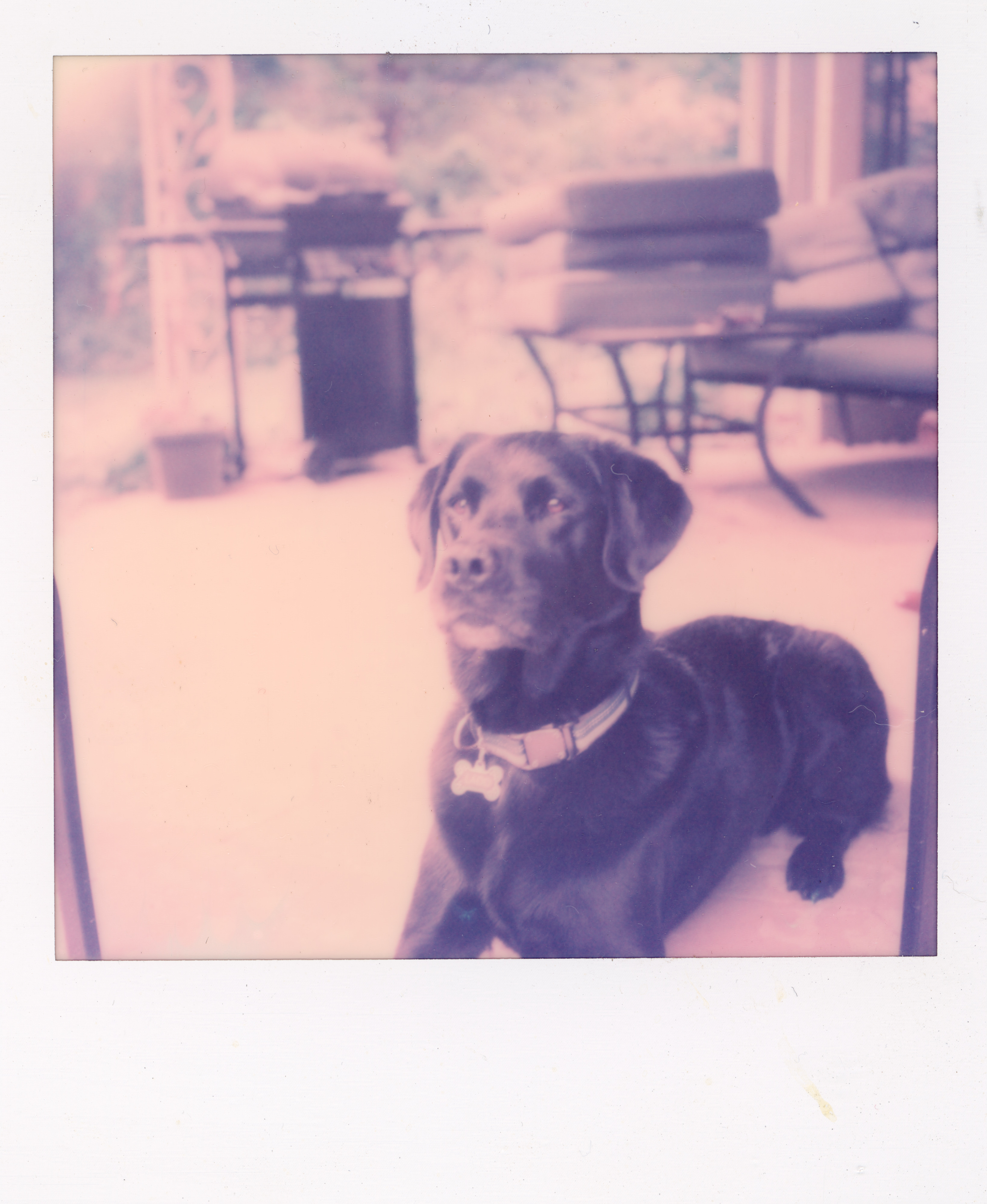 Miami 2023 Polaroid 042, a one-of-one instant photograph made in Miami, Florida, 2023 by Robert Andy Coombs.