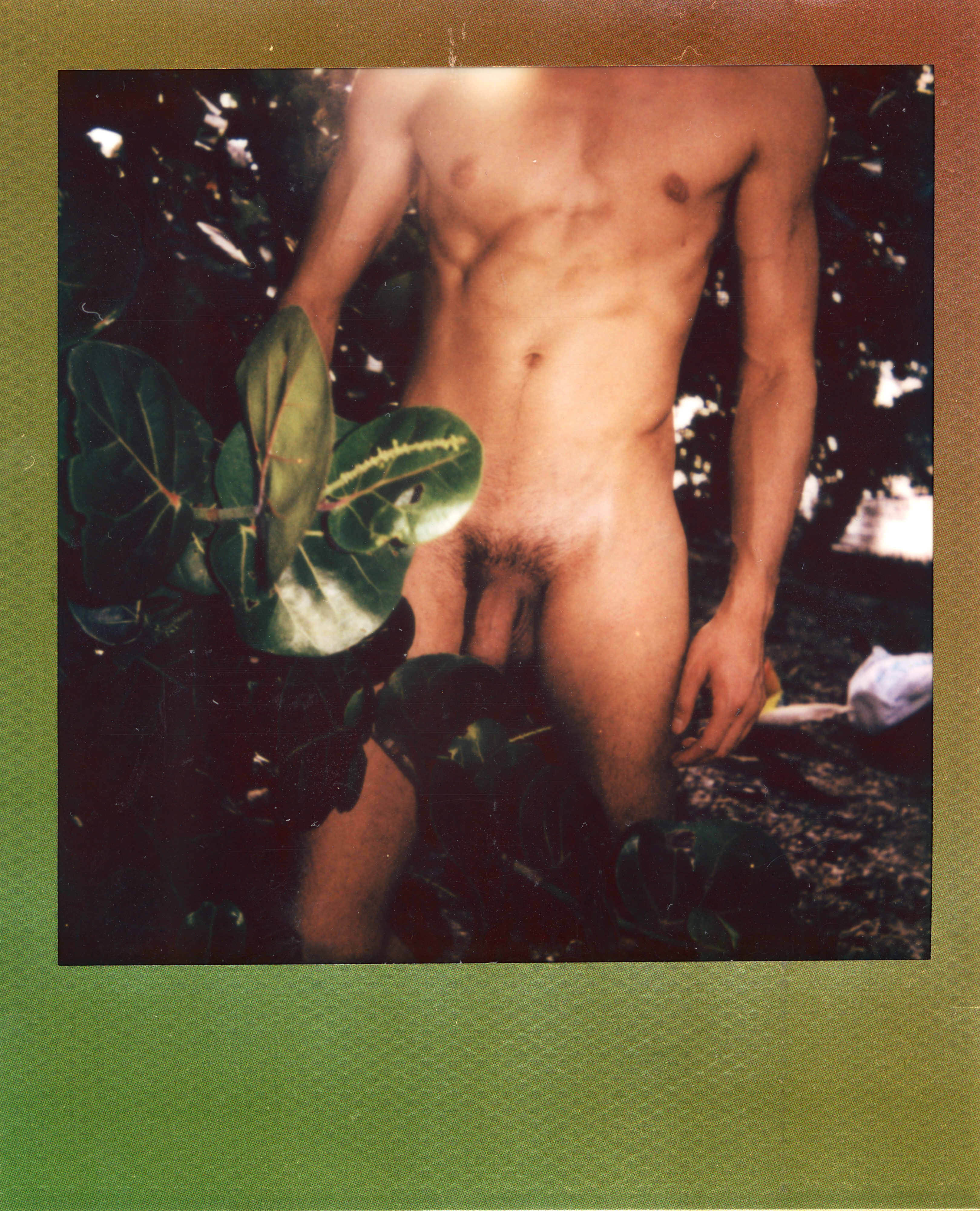 Miami 2023 Polaroid 065, a one-of-one instant photograph made in Miami, Florida, 2023 by Robert Andy Coombs.