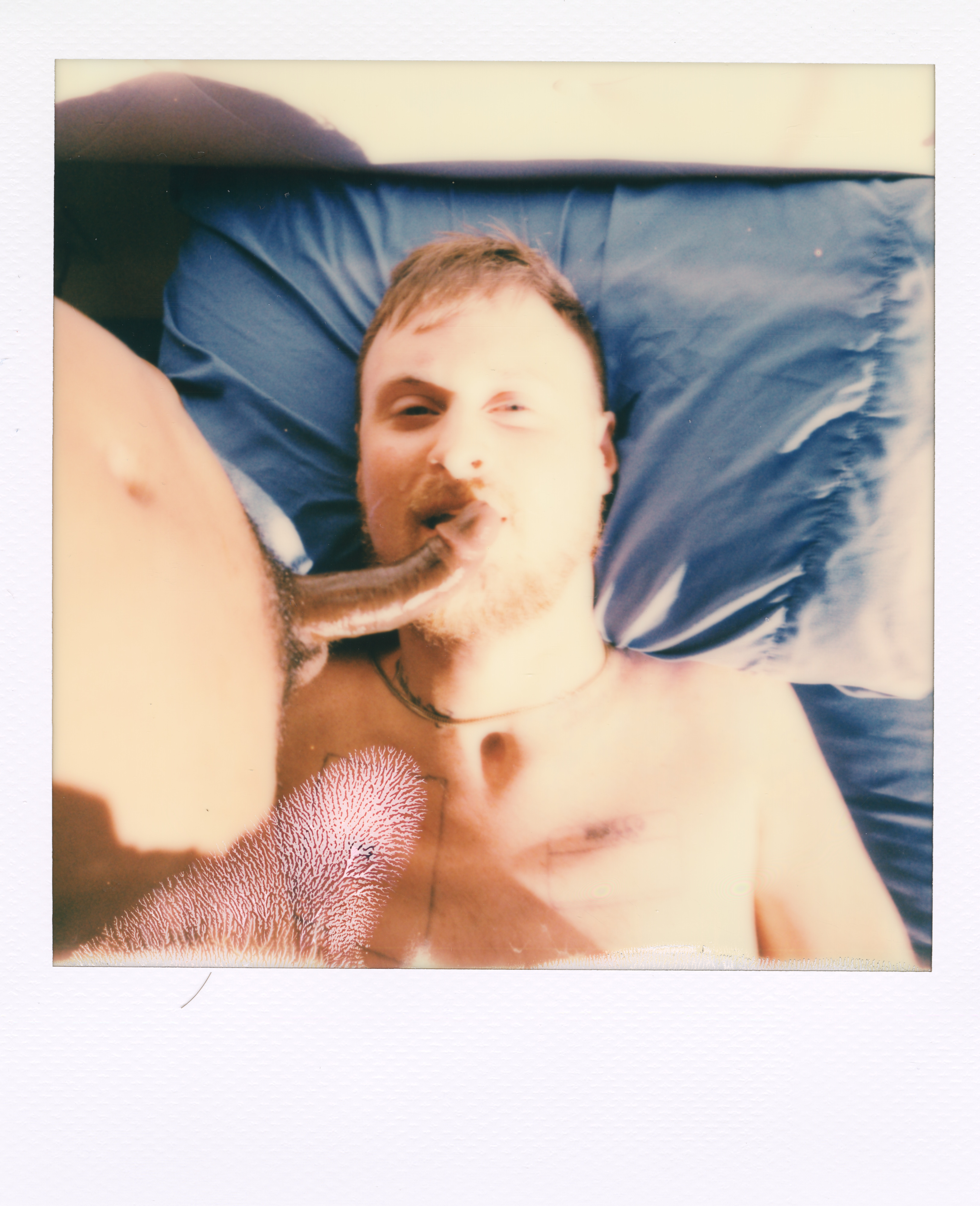 Yale Polaroid 105, a one-of-one instant photograph made in New Haven, Connecticut, 2020 by Robert Andy Coombs.