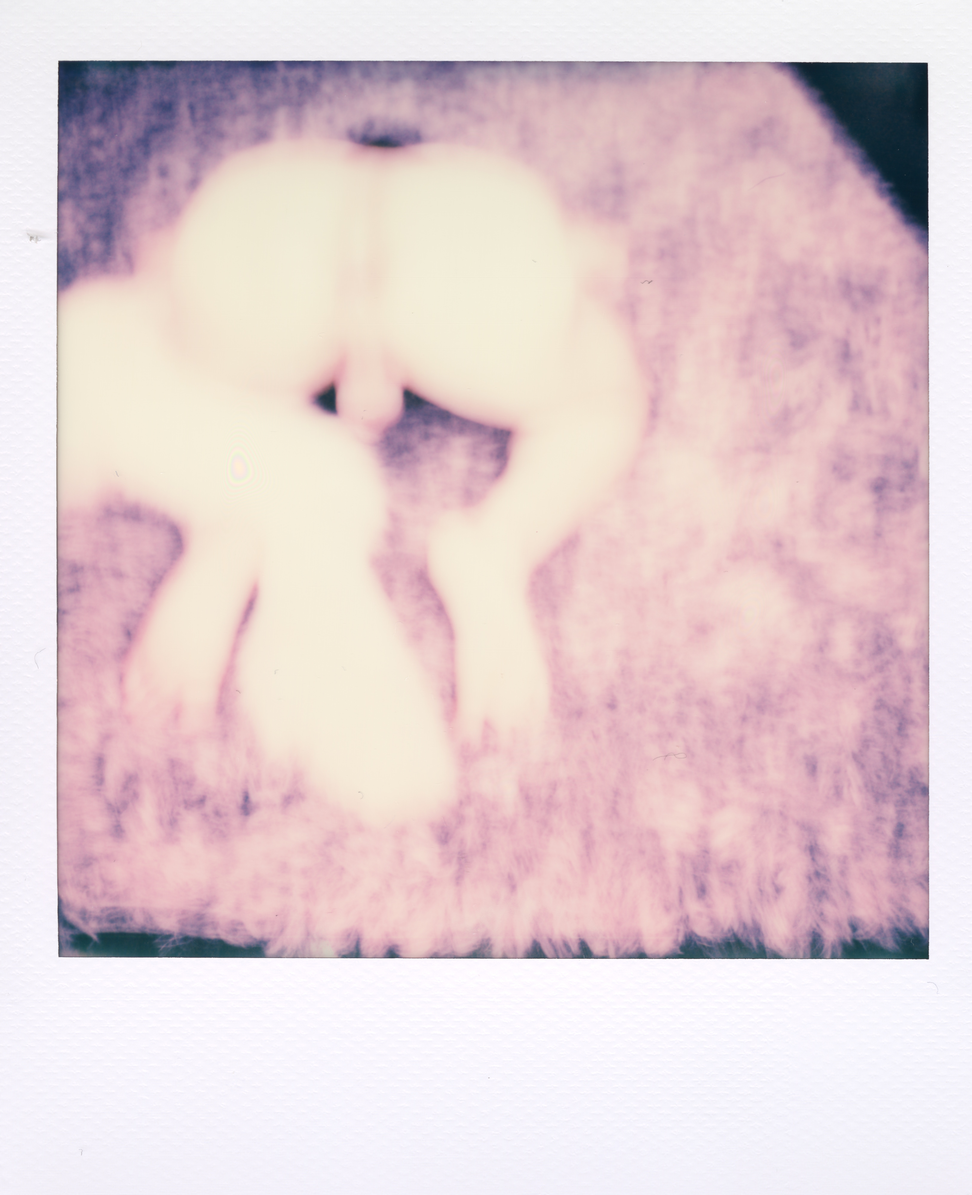 Yale Polaroid 125, a one-of-one instant photograph made in New Haven, Connecticut, 2020 by Robert Andy Coombs.
