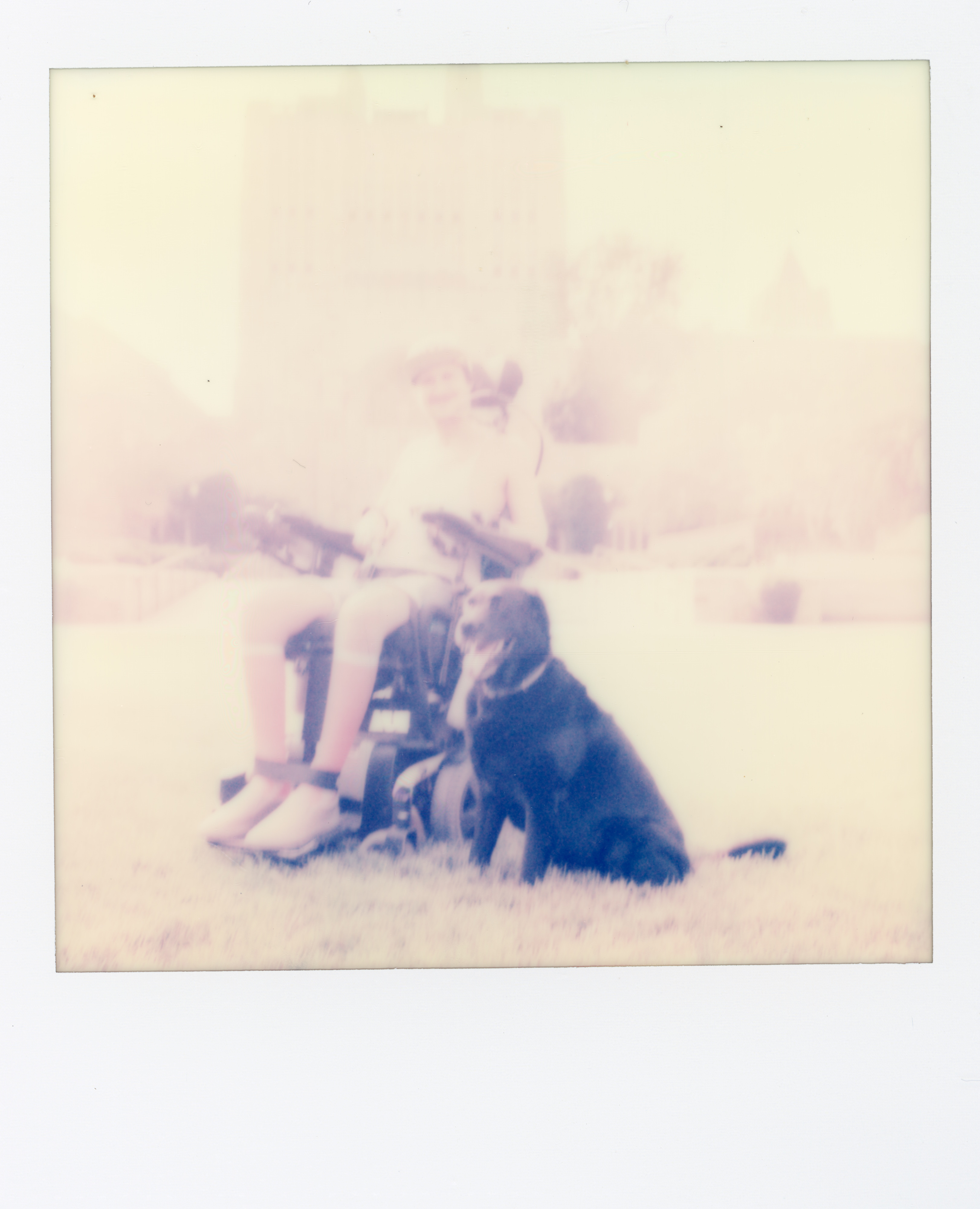 Yale Polaroid 162, a one-of-one instant photograph made in New Haven, Connecticut, 2020 by Robert Andy Coombs.