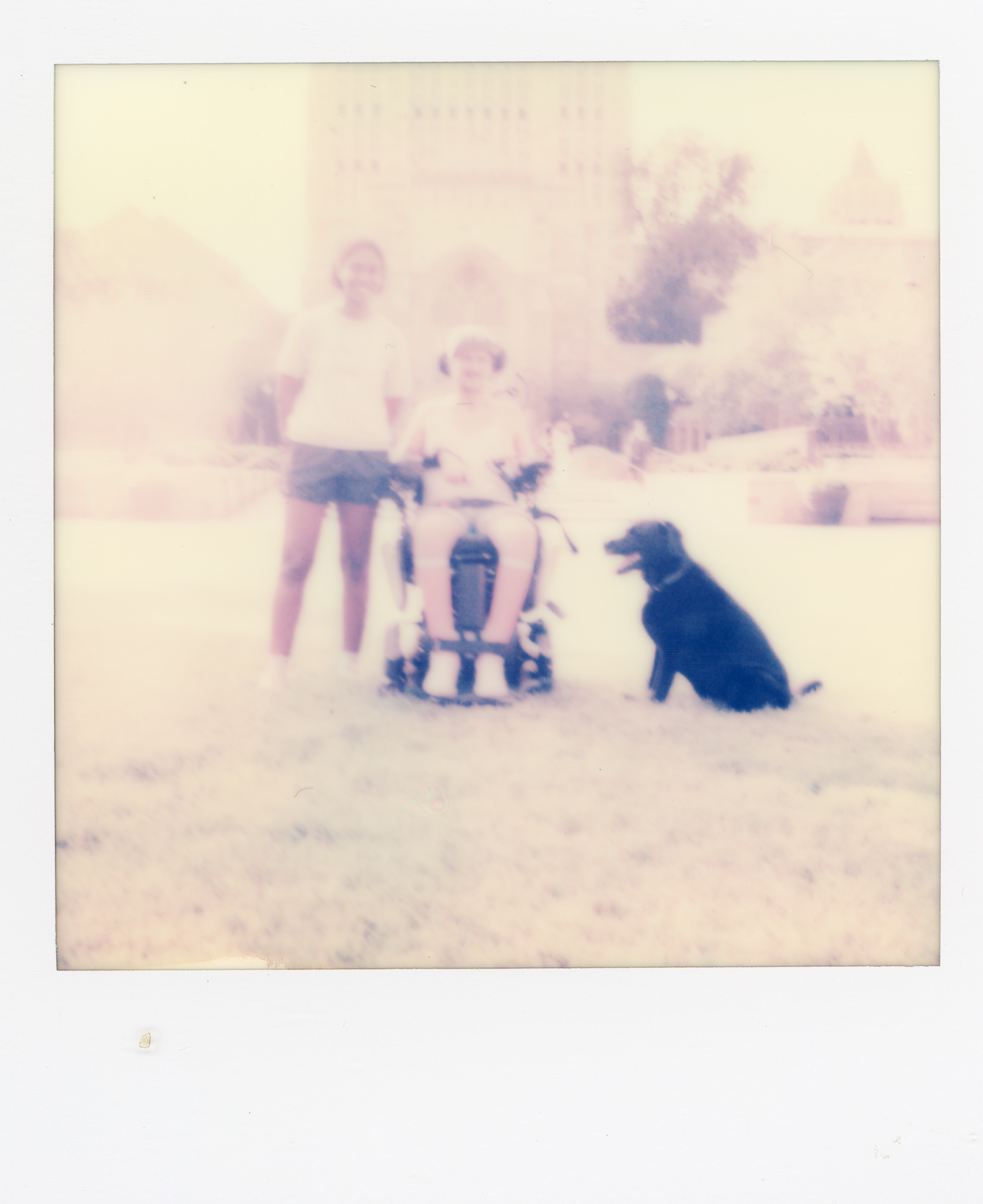 Yale Polaroid 163, a one-of-one instant photograph made in New Haven, Connecticut, 2020 by Robert Andy Coombs.