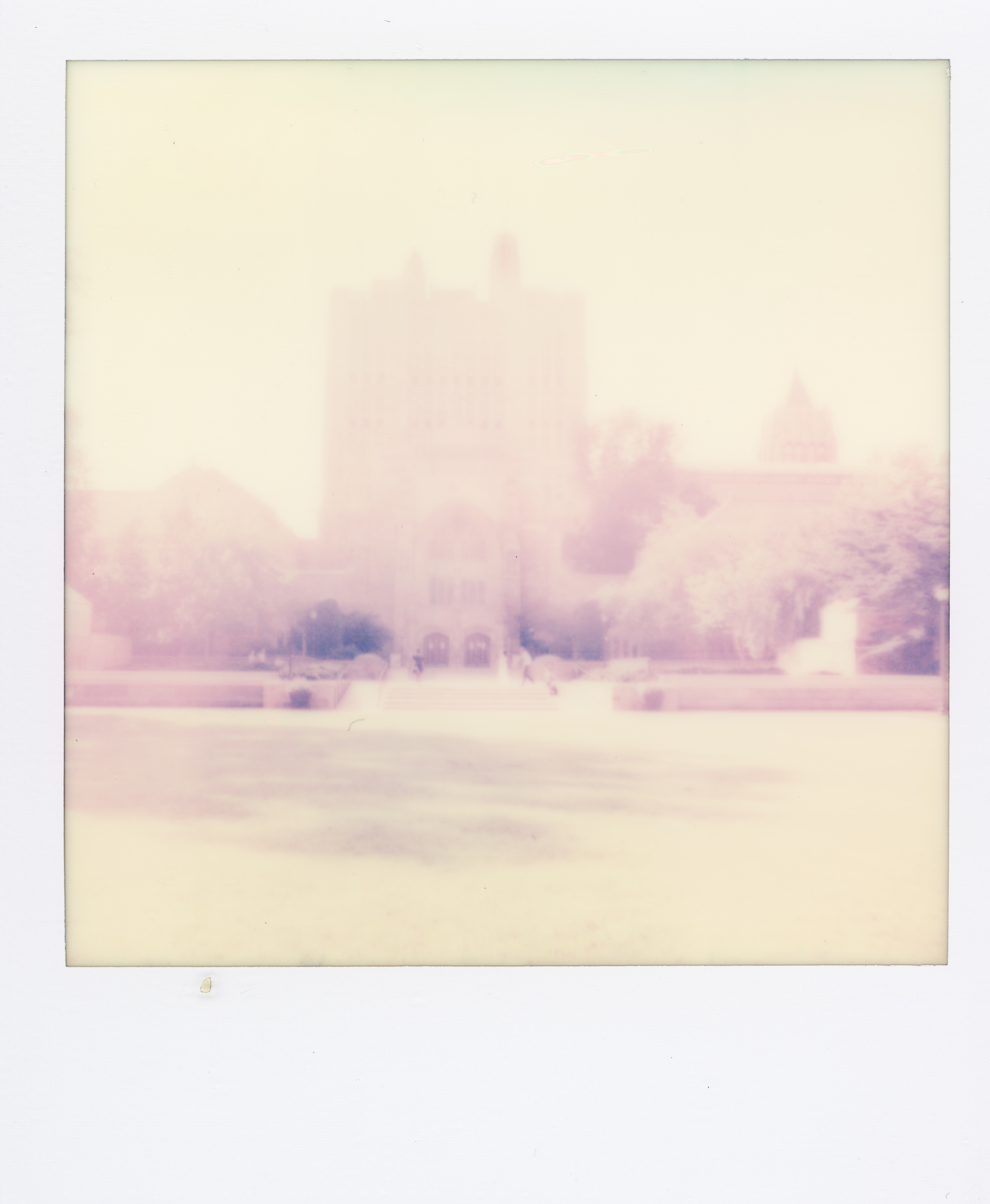 Yale Polaroid 164, a one-of-one instant photograph made in New Haven, Connecticut, 2020 by Robert Andy Coombs.