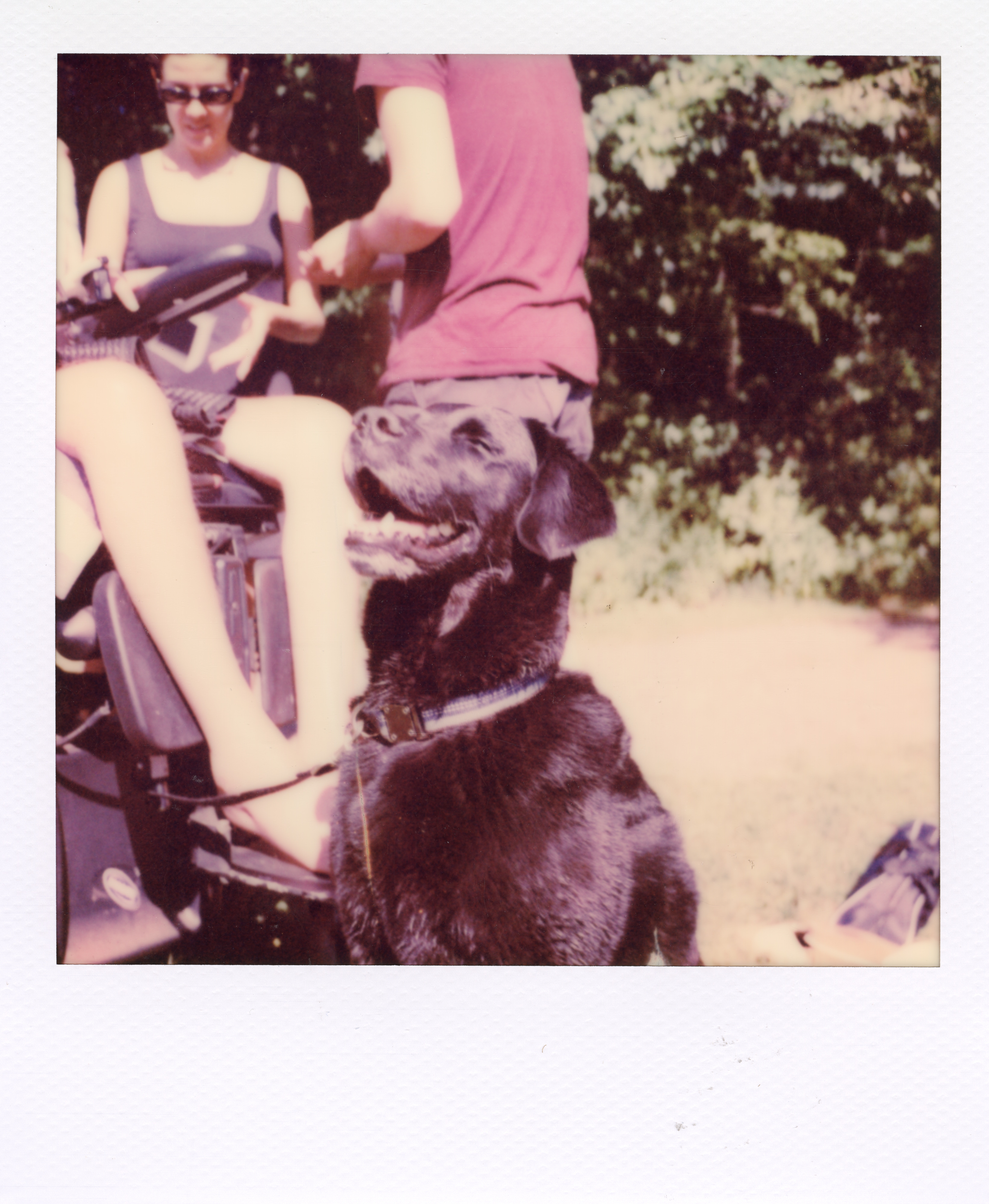 Yale Polaroid 028, a one-of-one instant photograph made in New Haven, Connecticut, 2020 by Robert Andy Coombs.