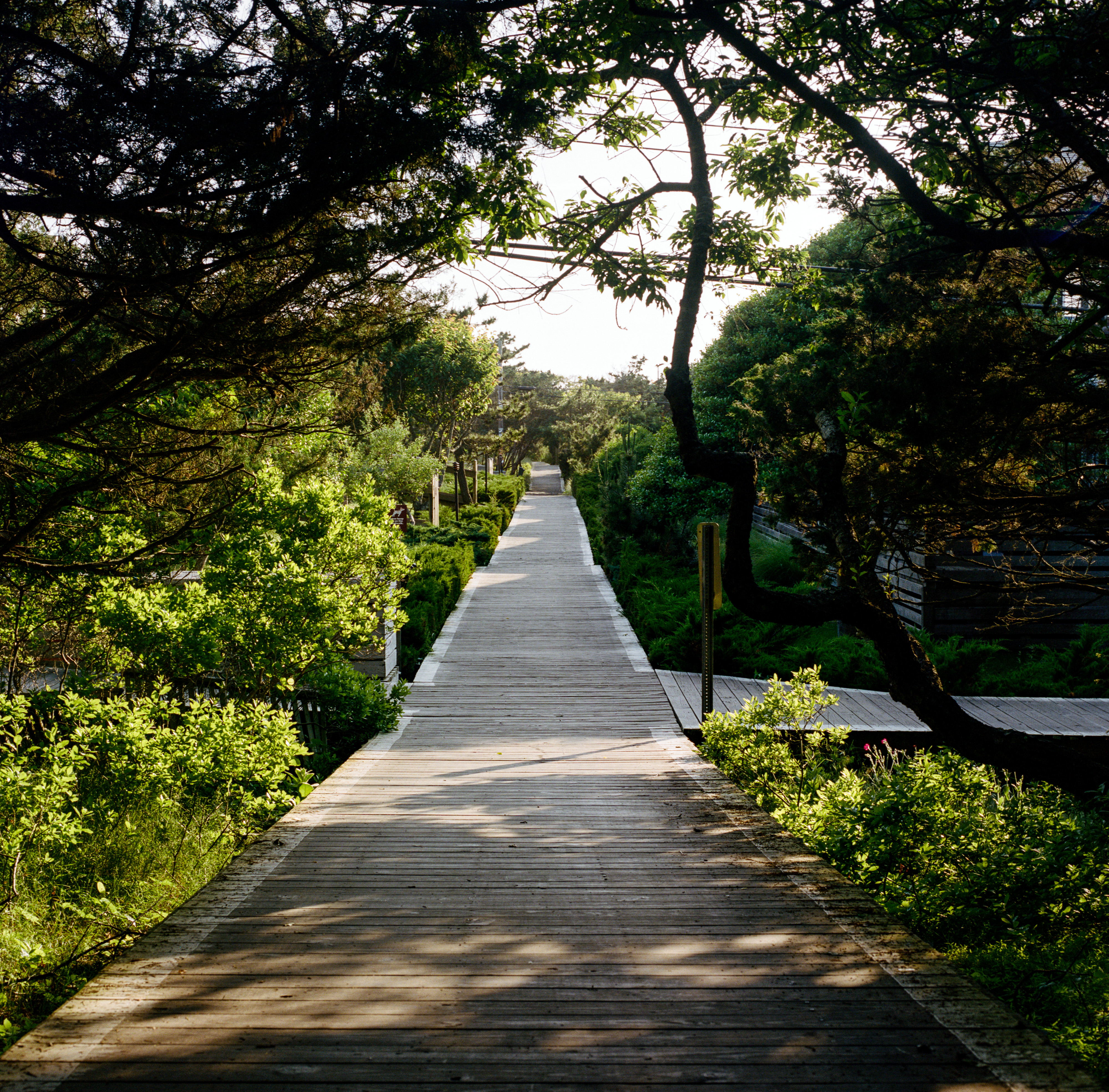 Fire Island 034, a square-format photograph street photograph made in Fire Island Pines, New York by Robert Andy Coombs.