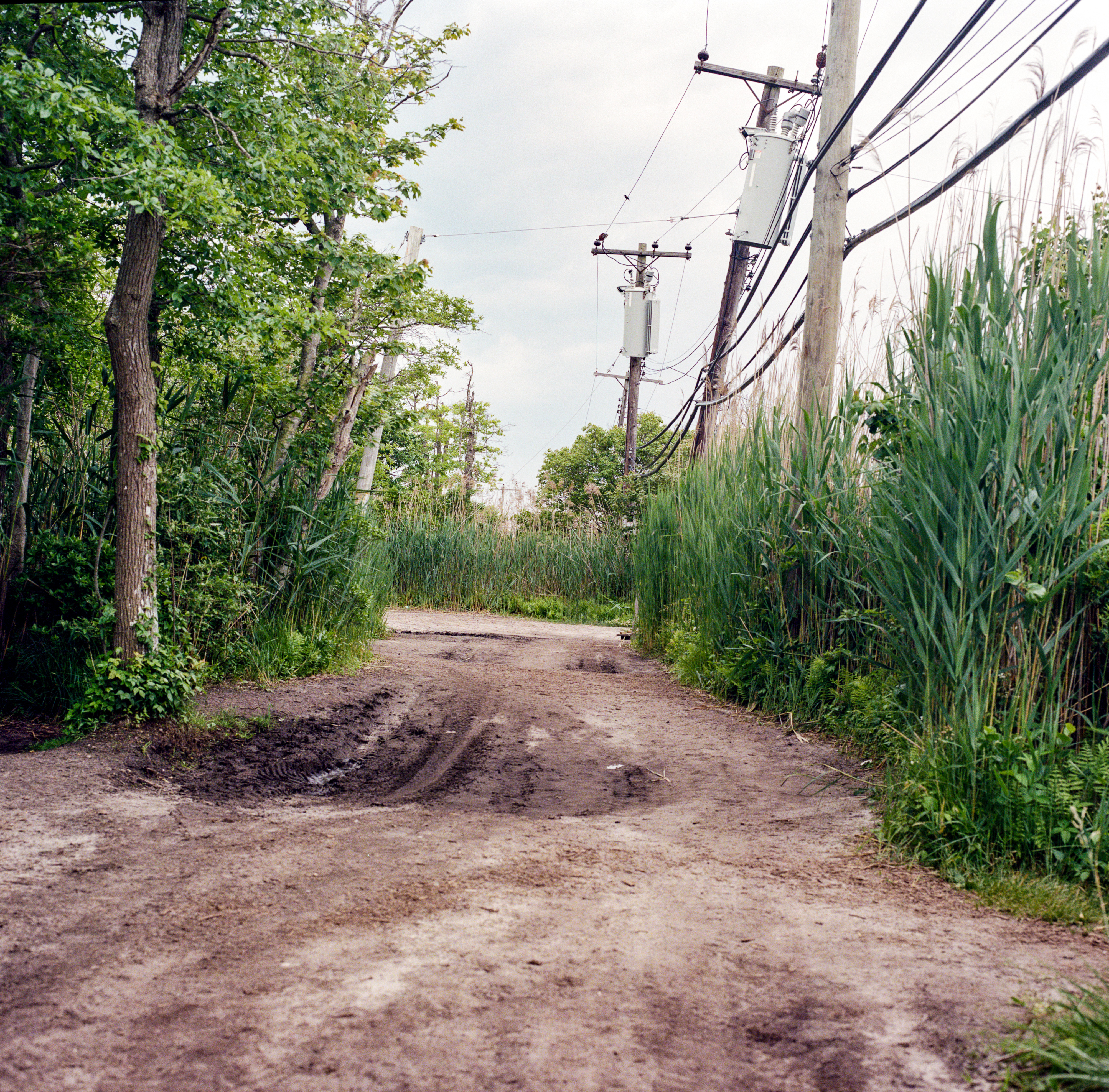 Fire Island 046, a square-format photograph street photograph made in Fire Island Pines, New York by Robert Andy Coombs.