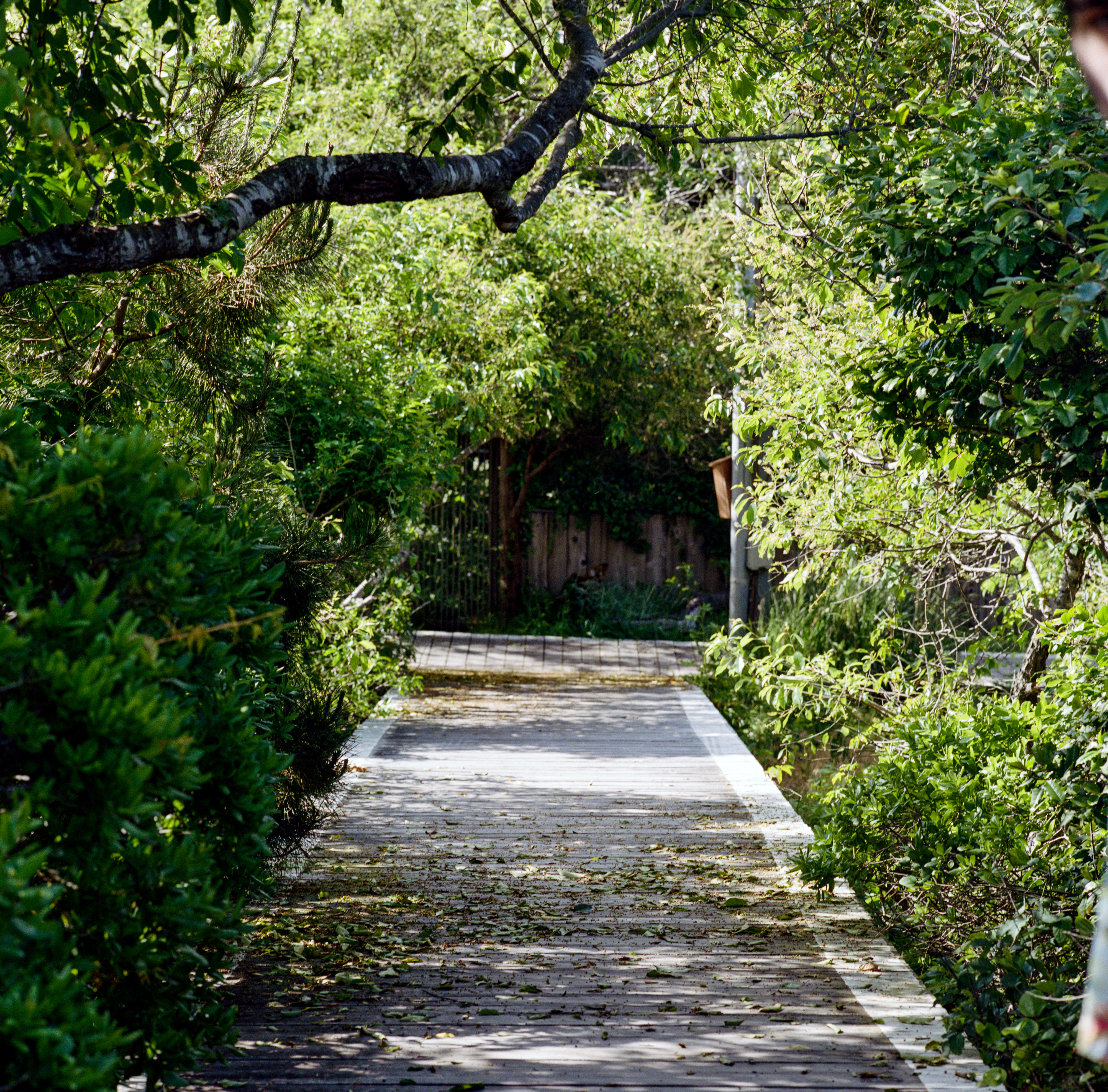 Fire Island 056, a square-format photograph street photograph made in Fire Island Pines, New York by Robert Andy Coombs.