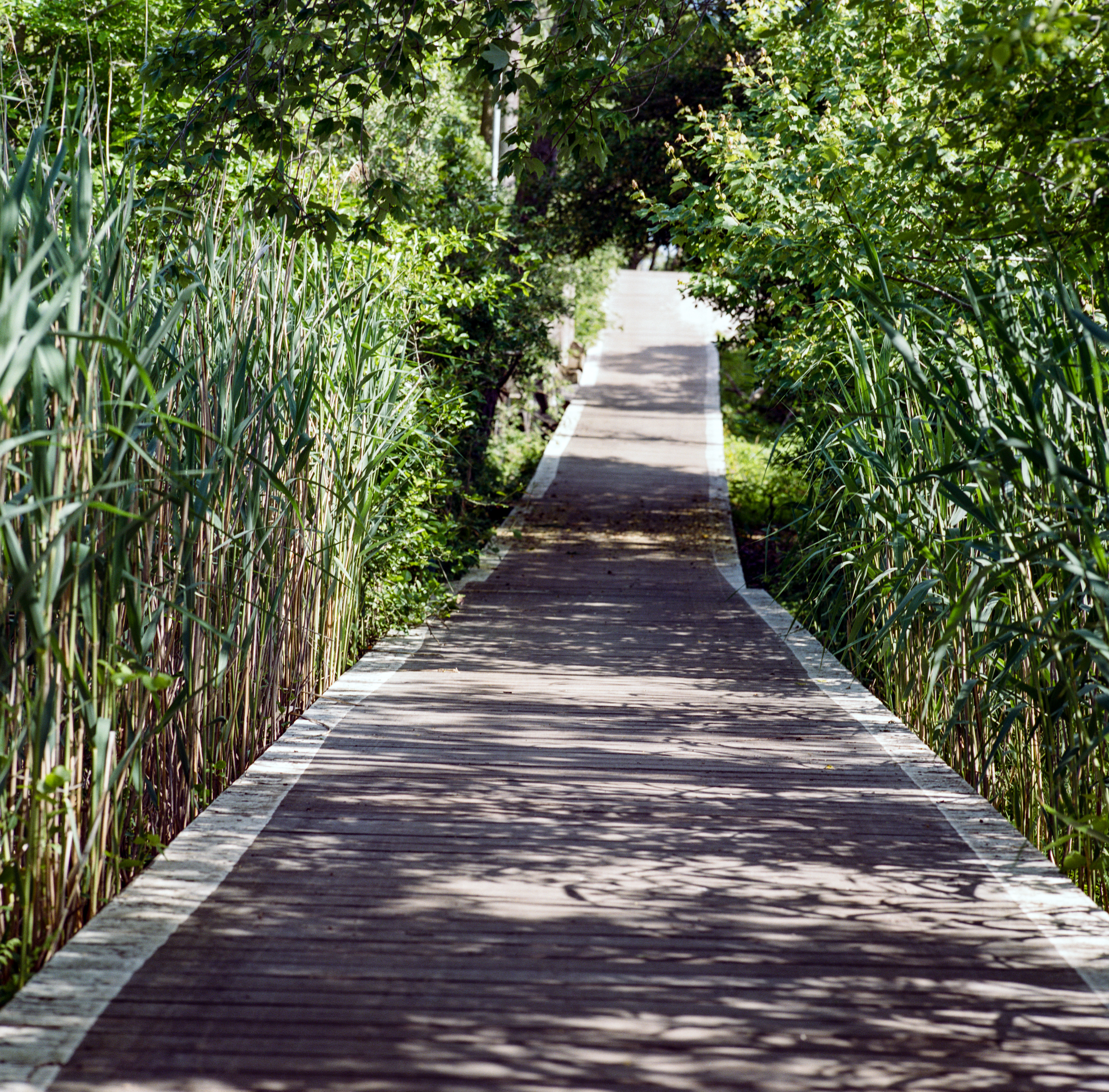 Fire Island 059, a square-format photograph street photograph made in Fire Island Pines, New York by Robert Andy Coombs.
