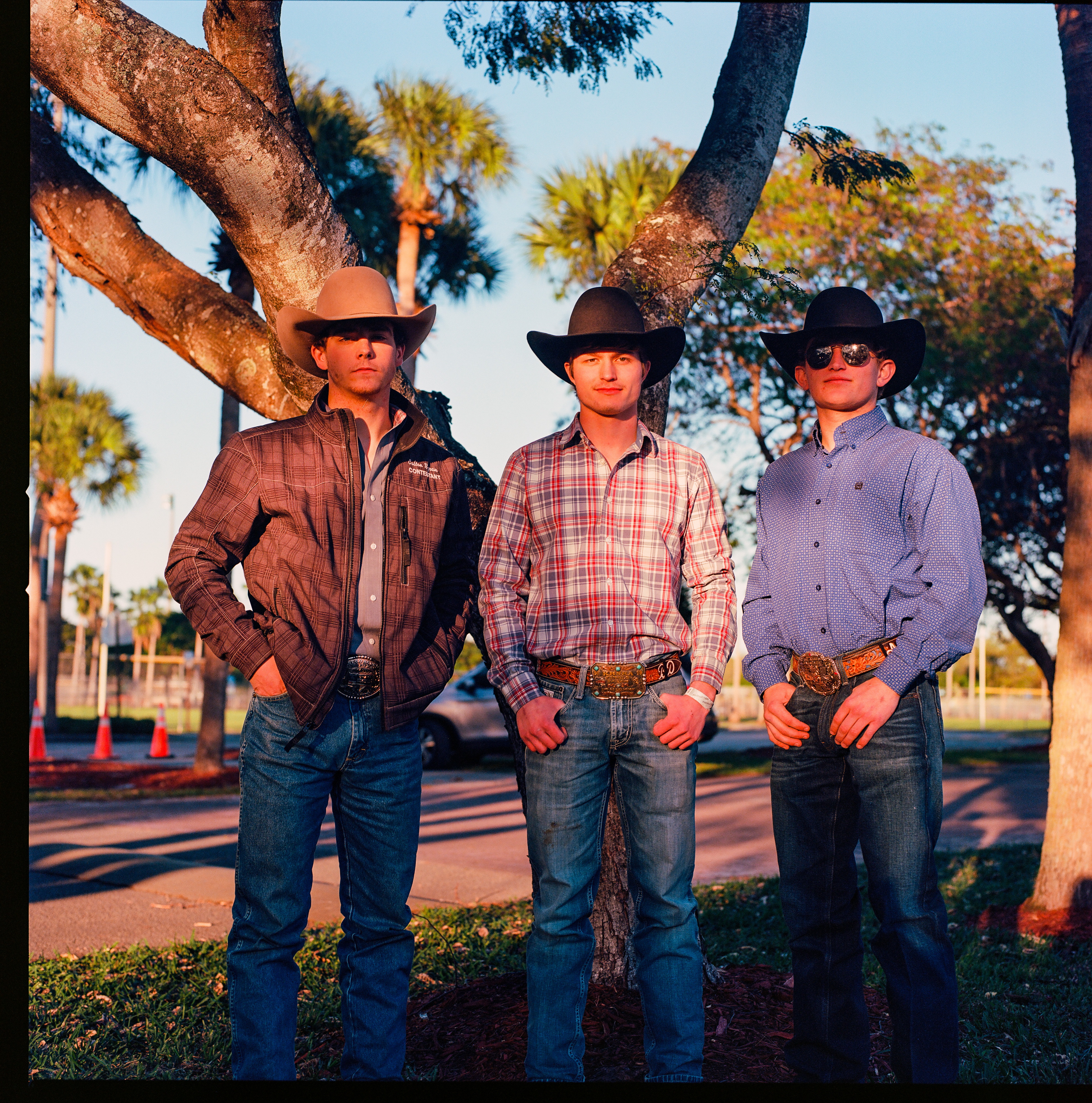 Rodeo by Robert Andy Coombs